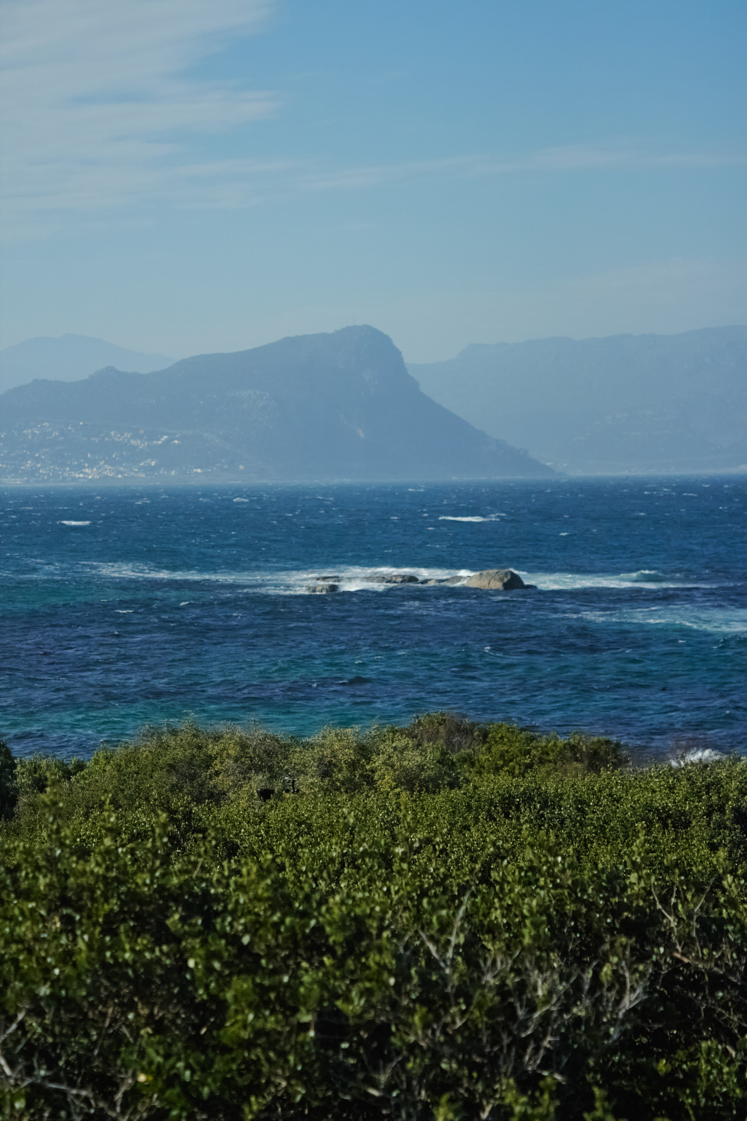 ЮАР. Профессиональный Фотограф во Владимире, в Москве и в Суздале — Полина Романычева