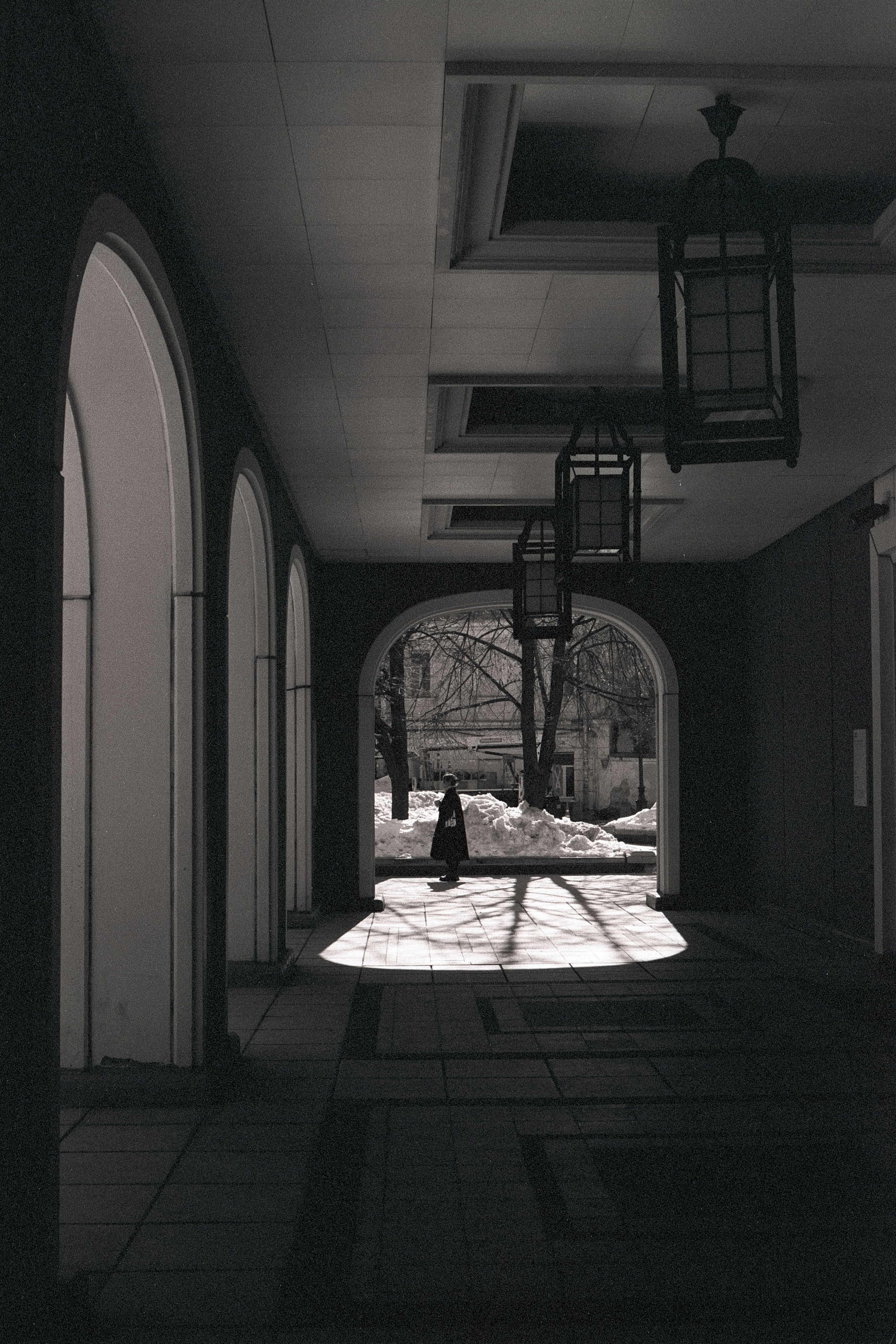 Оттенки серого. Семоха Валерий. Фотограф