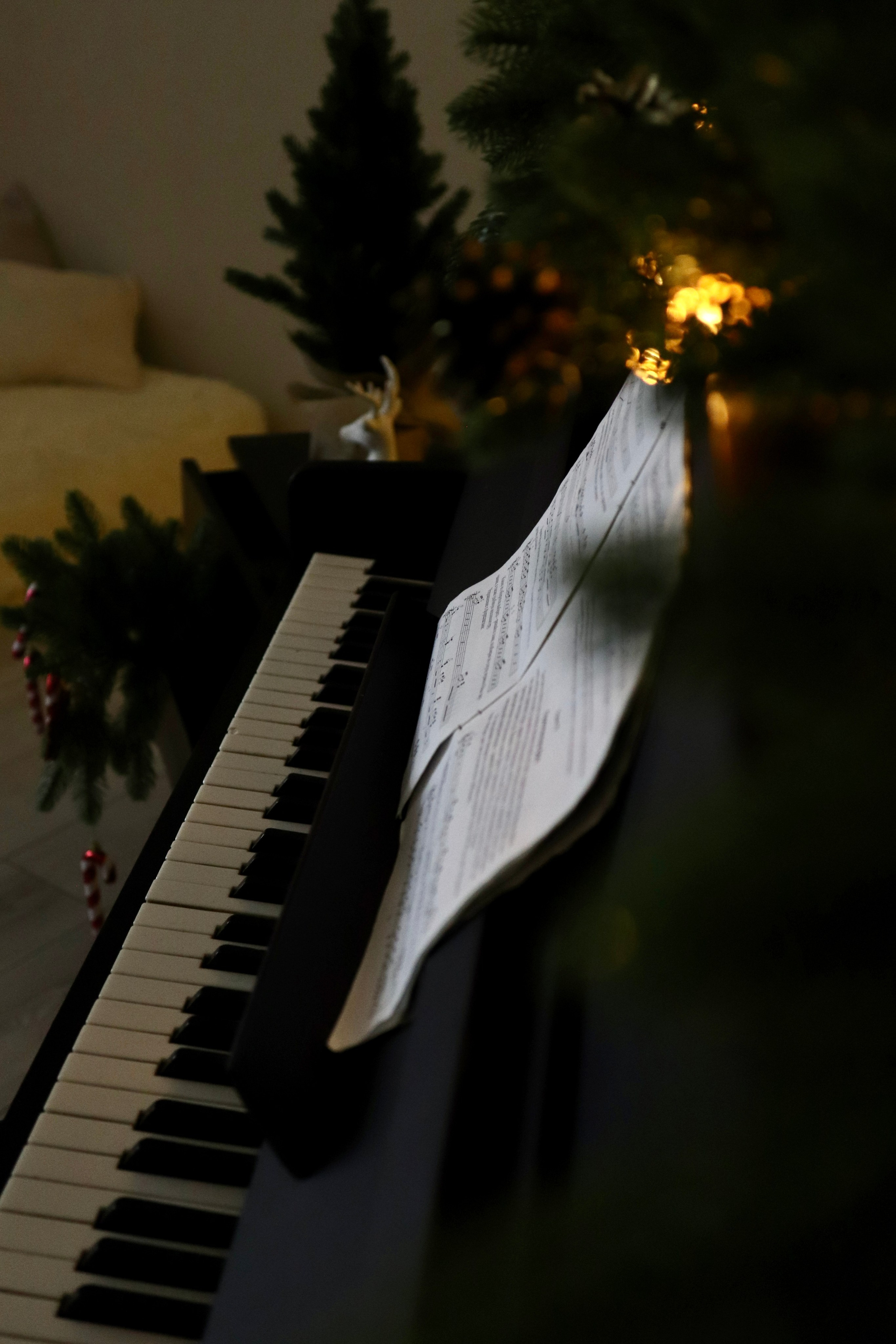 ЛеТТ Лофт. Фотограф г. Хабаровск. Семейные и индивидуальные съёмки