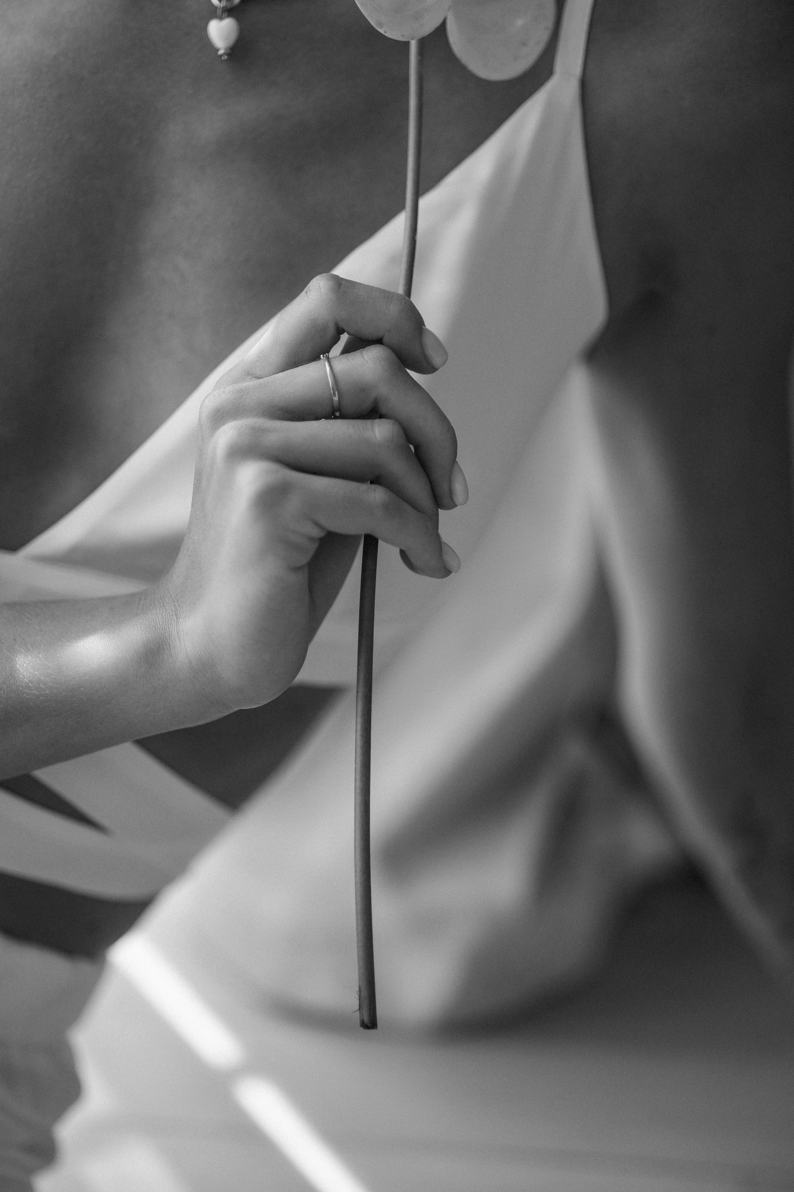 Ангелина и Сергей. Свадебный фотограф Минск РБ