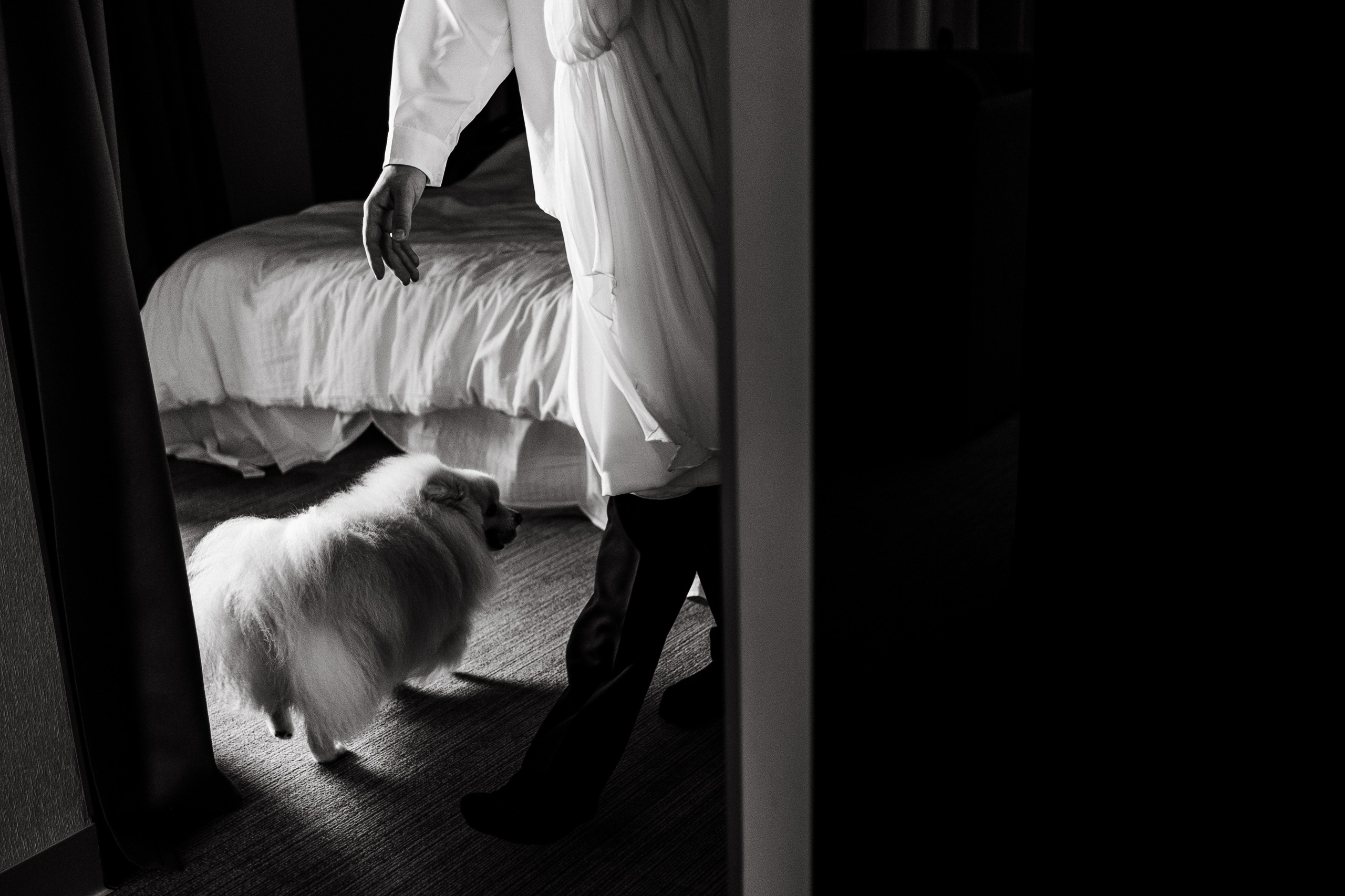 Mihail i Tatyana. Event агентство PAPRIKA в Екатеринбурге