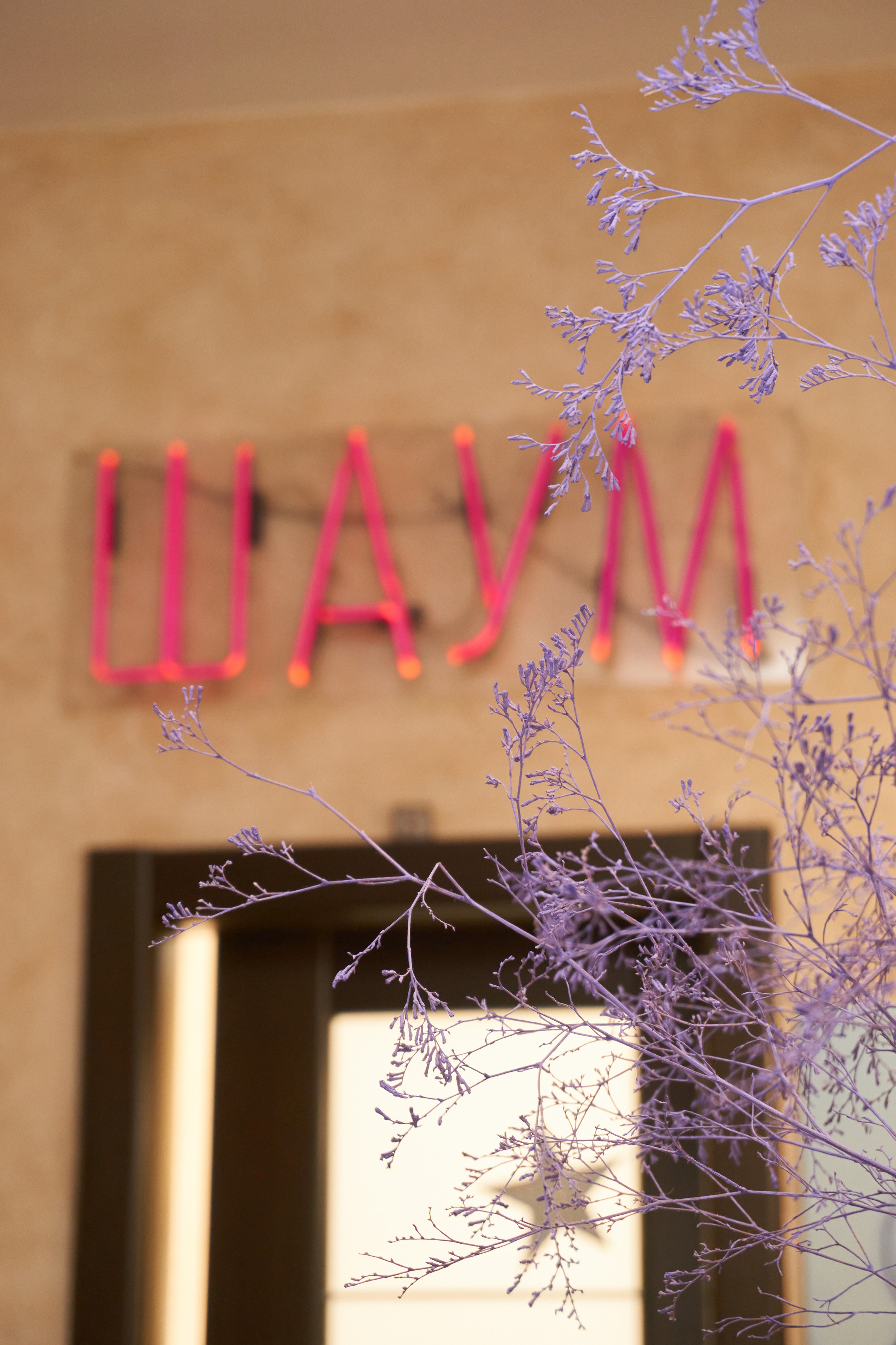 Shaum Beauty — место где рождается красота!