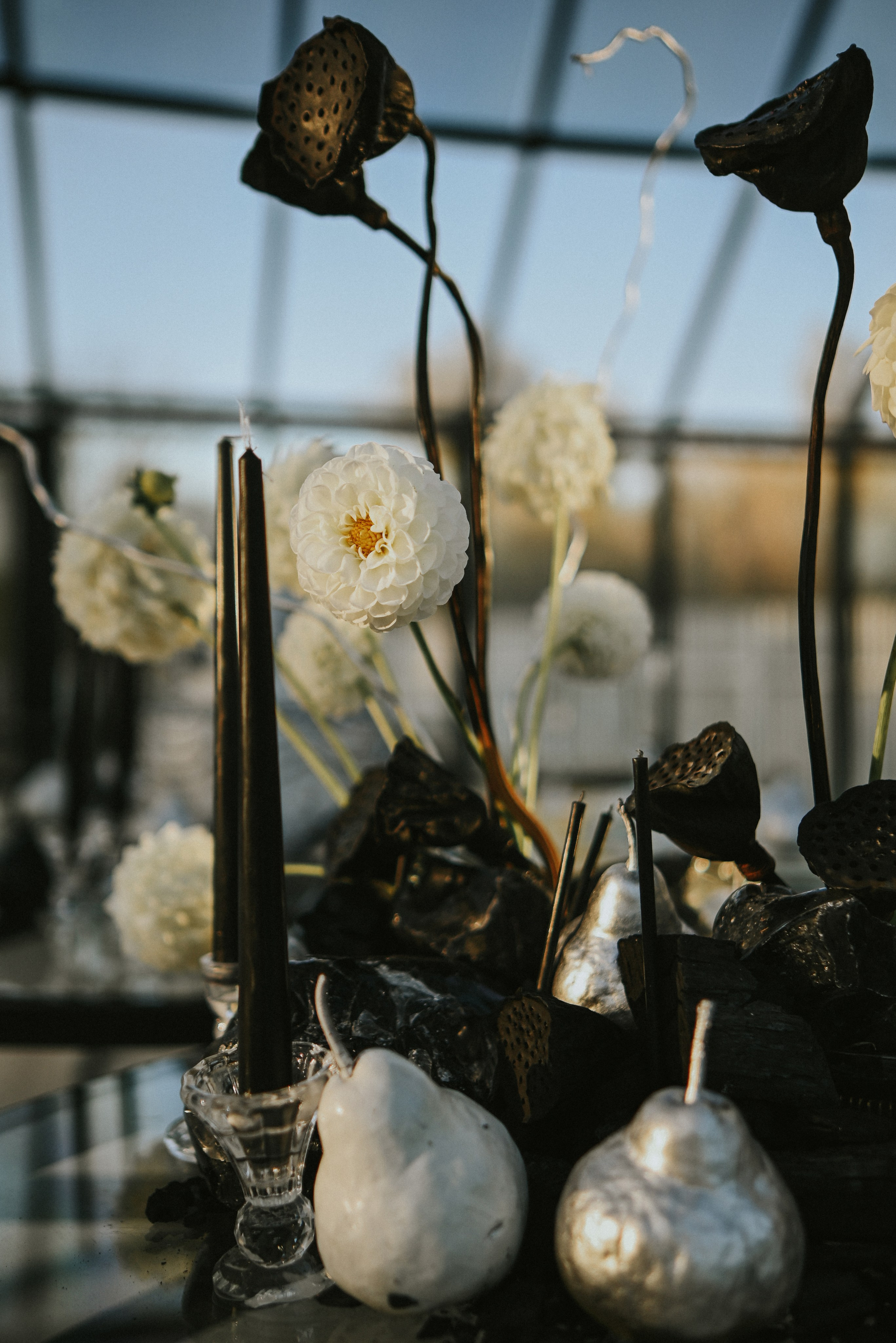 Лиза+Олег. Кожухова Виктория свадебный и семейный фотограф