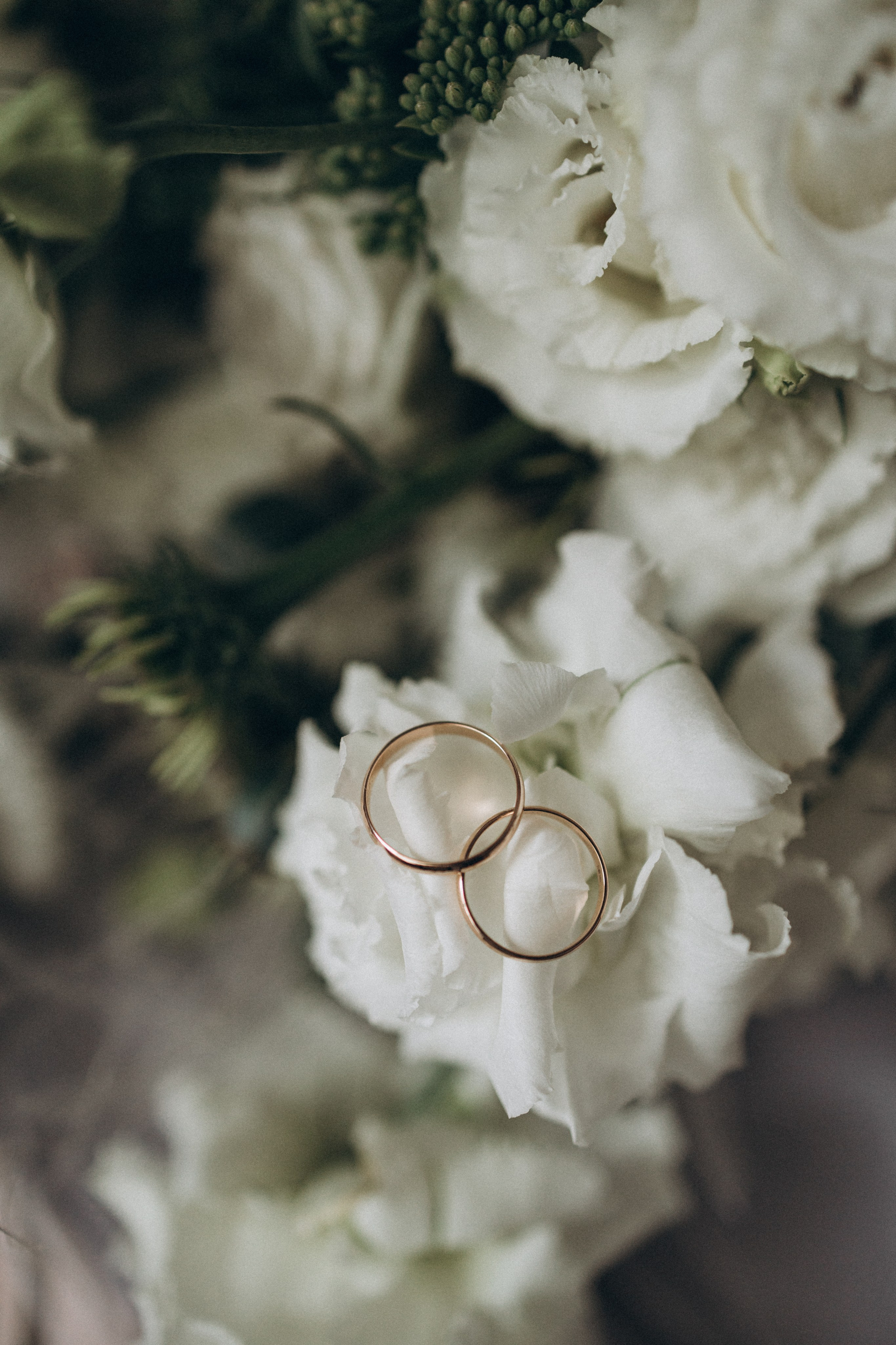 Екатерина и Степан. Семейный и свадебный фотограф Анастасия Слободчикова. Лысьва, Чусовой, Пермь