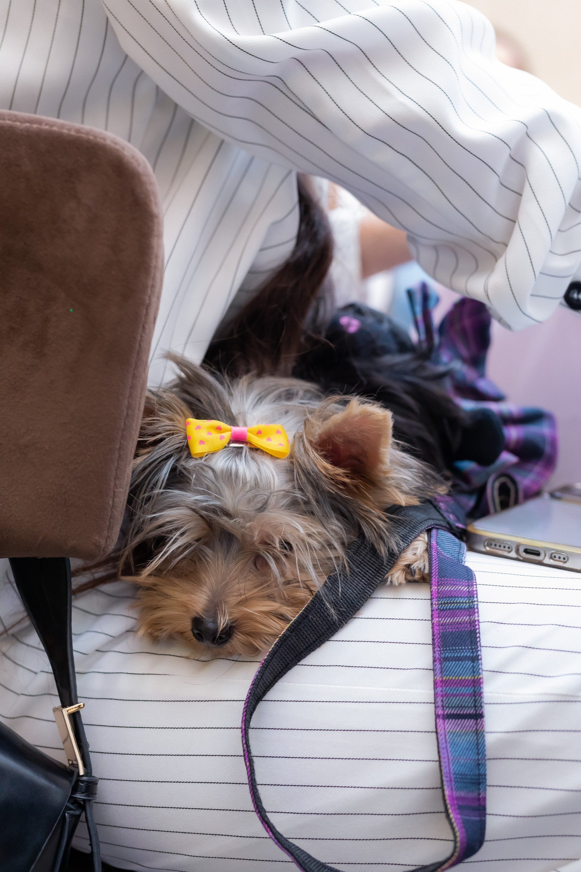 Art Events for girls. Фотограф и ретушер. (Армения/Россия)