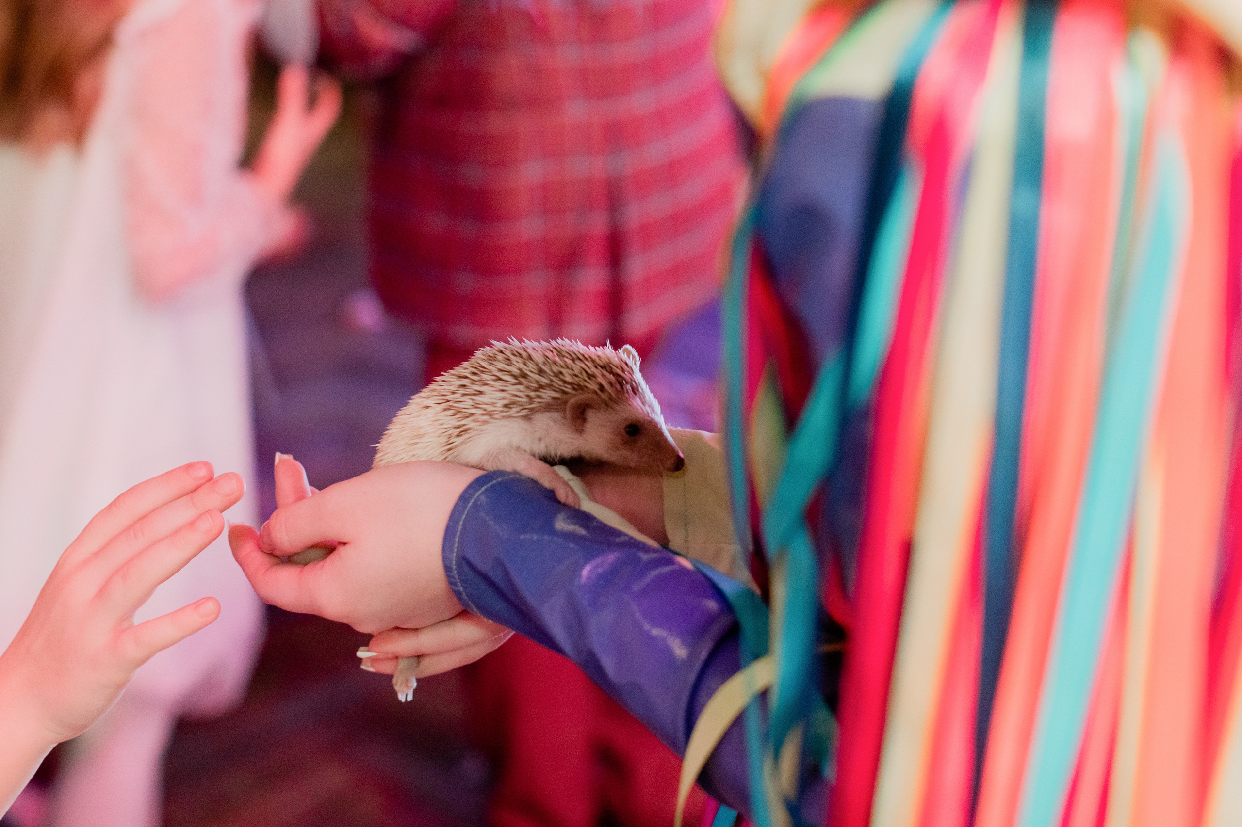 Поле годик. Свадебный фотограф Москва Европа Мария Коренчук