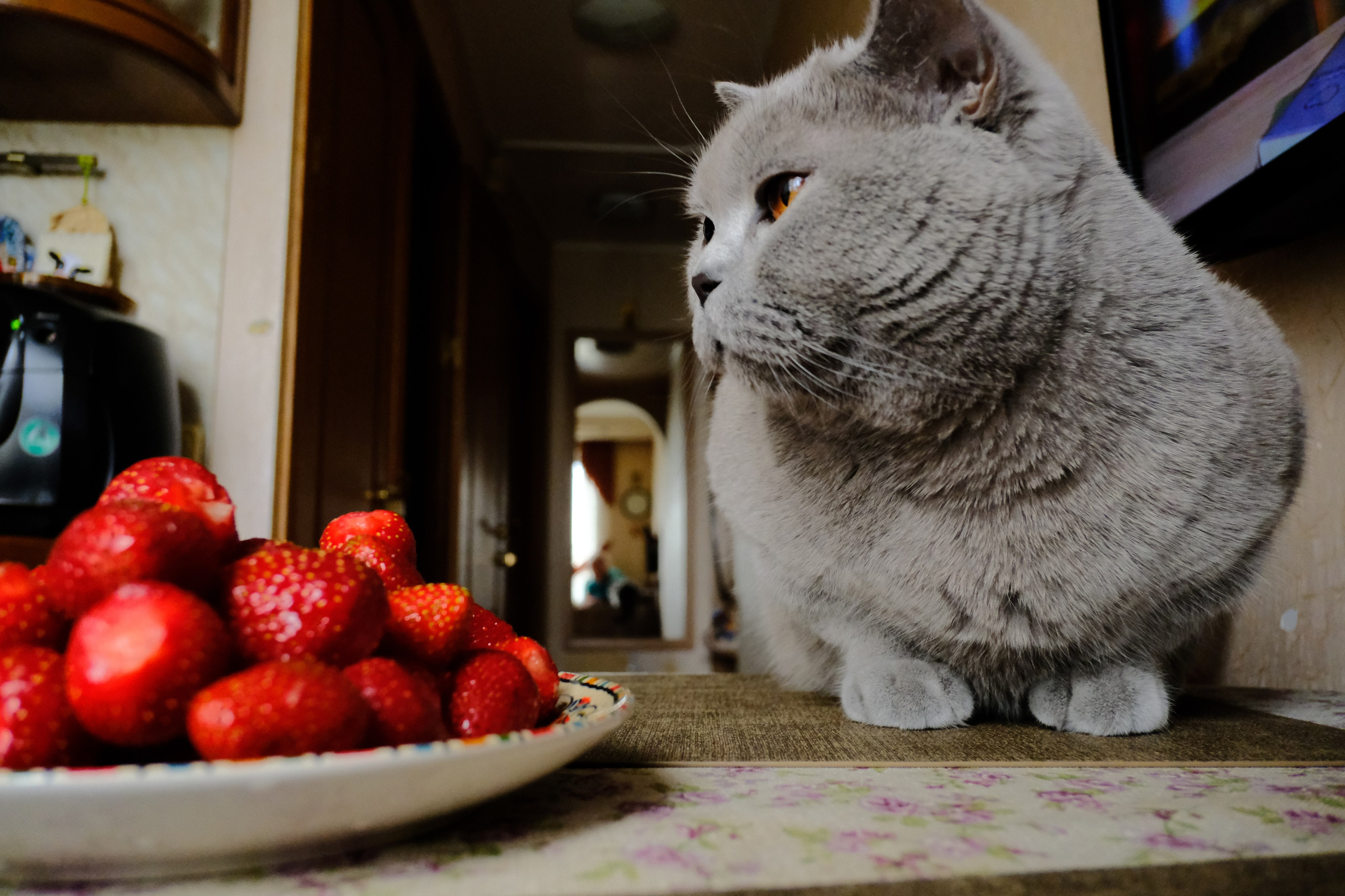 Улица, люди, жизнь…