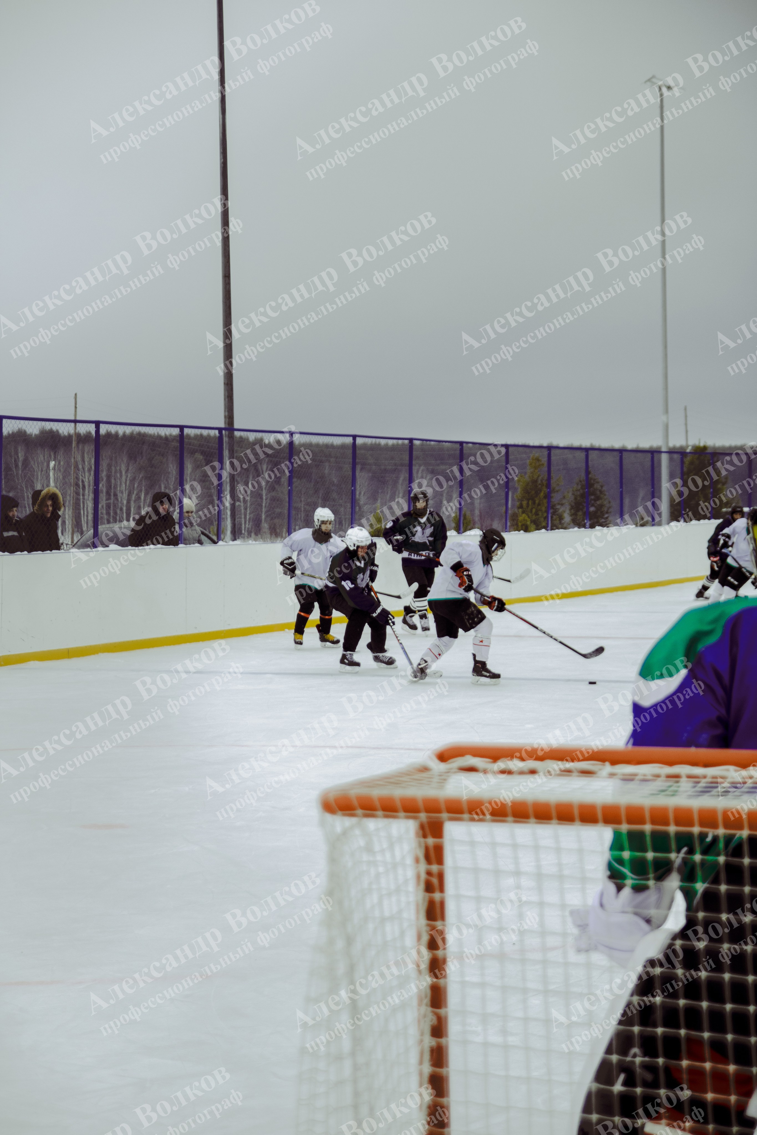Хоккей 29.12.2024