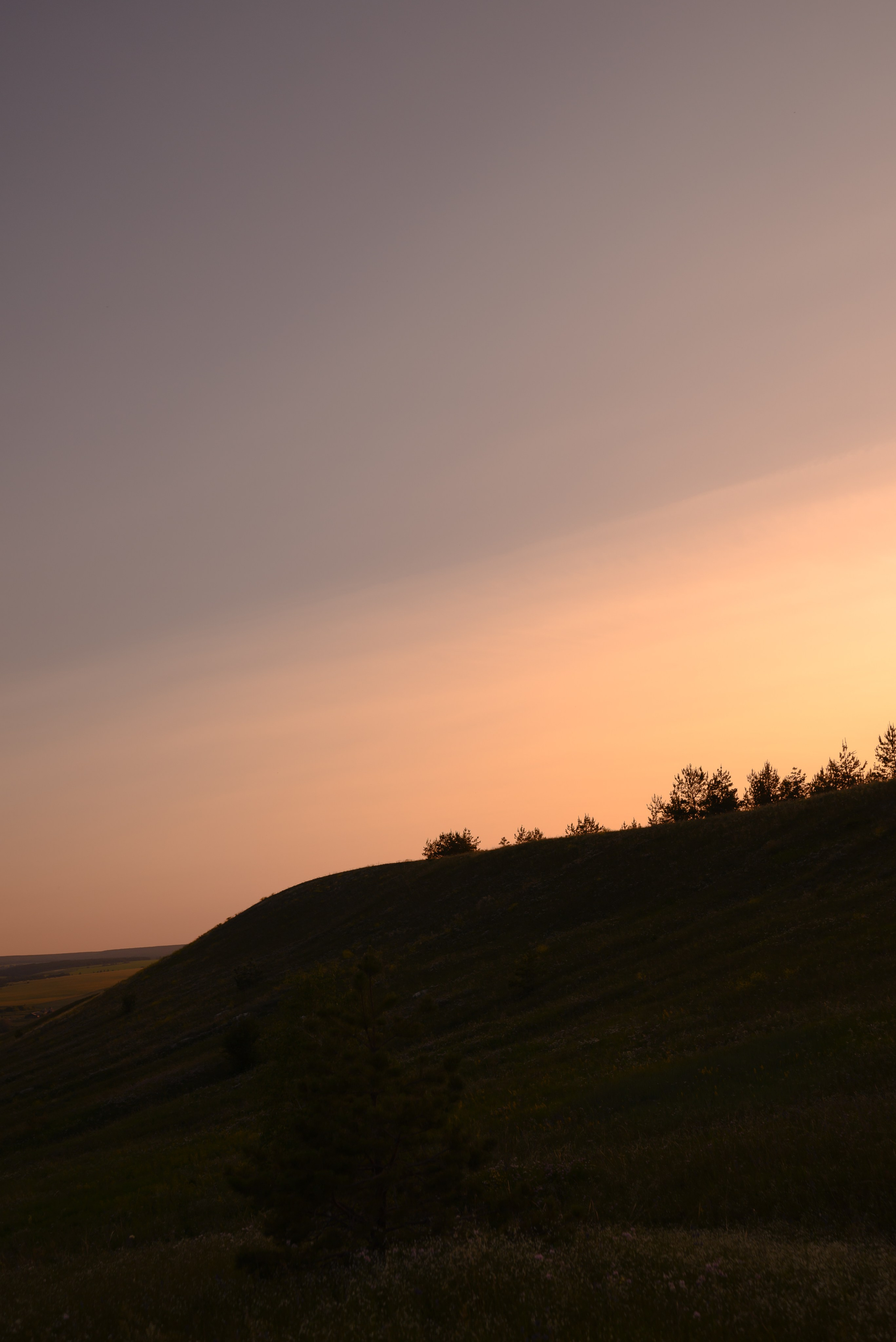 Только любовь. Свадебный фотограф Евгения Наумовец