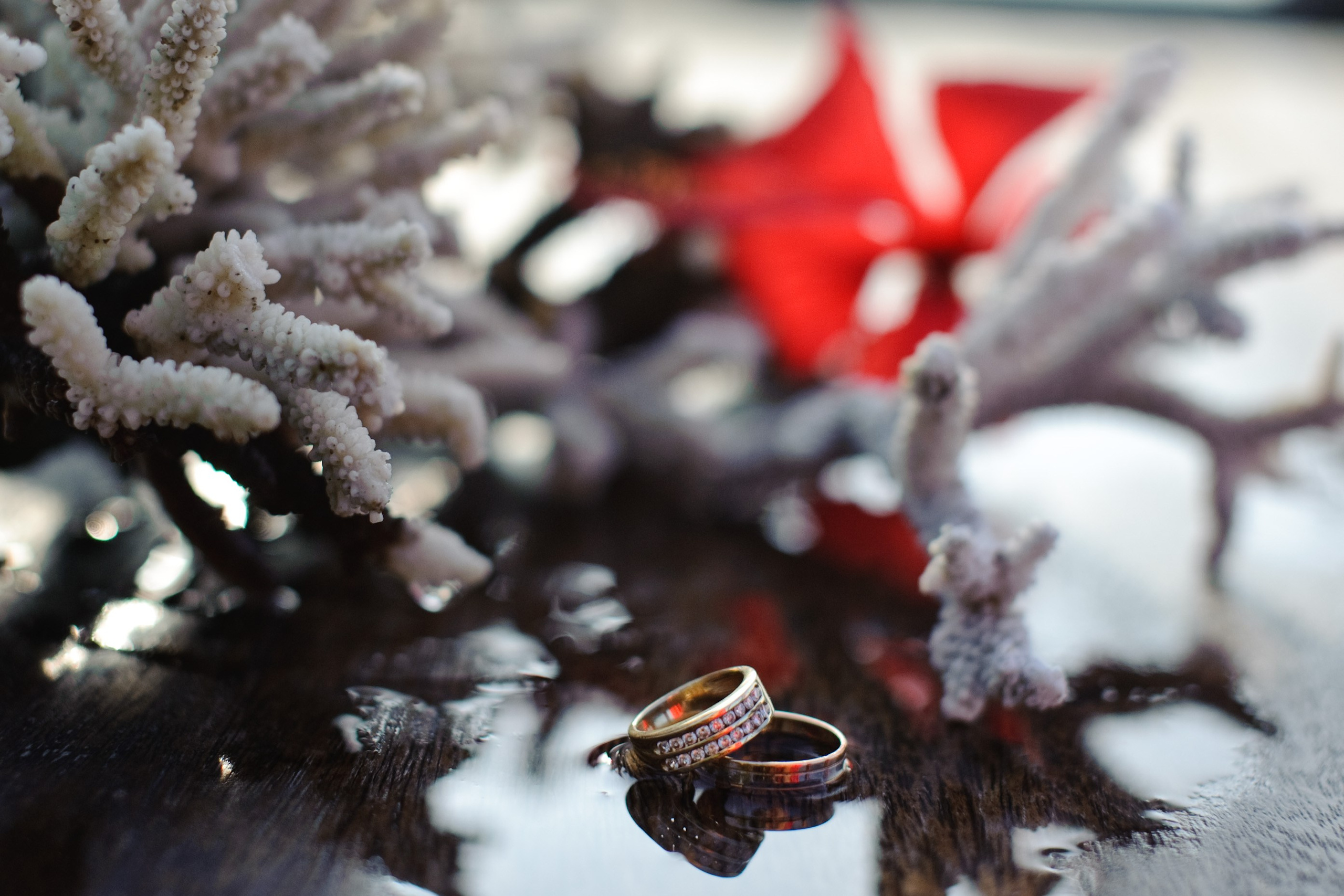 Анастасия и Алексей. Свадьба, Москва — Бали, Индонезия. Семейный фотограф Анна Дубовская