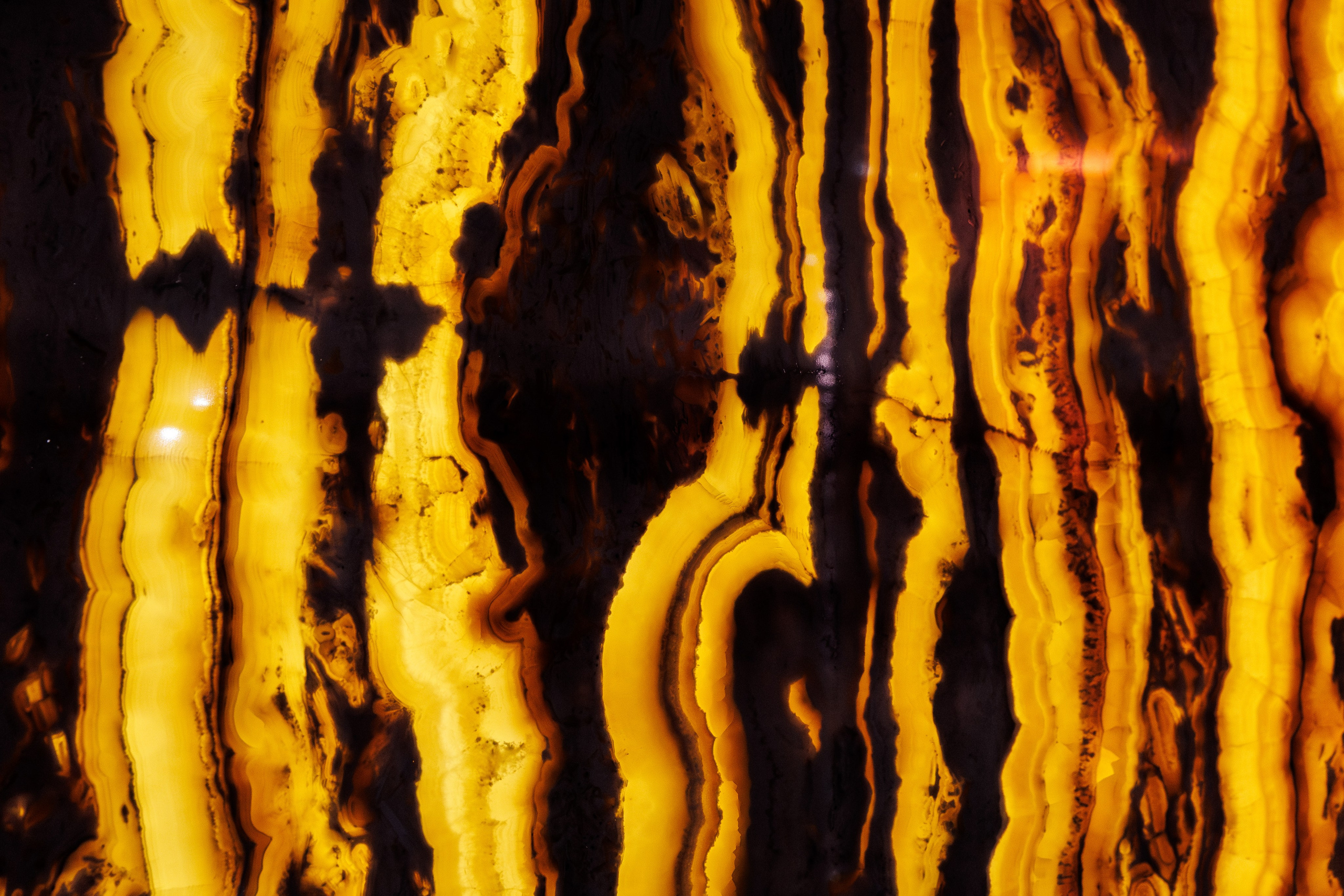 Creators. ILIAS BLACK — Фотограф свадеб и мероприятий в Минске и Беларуси