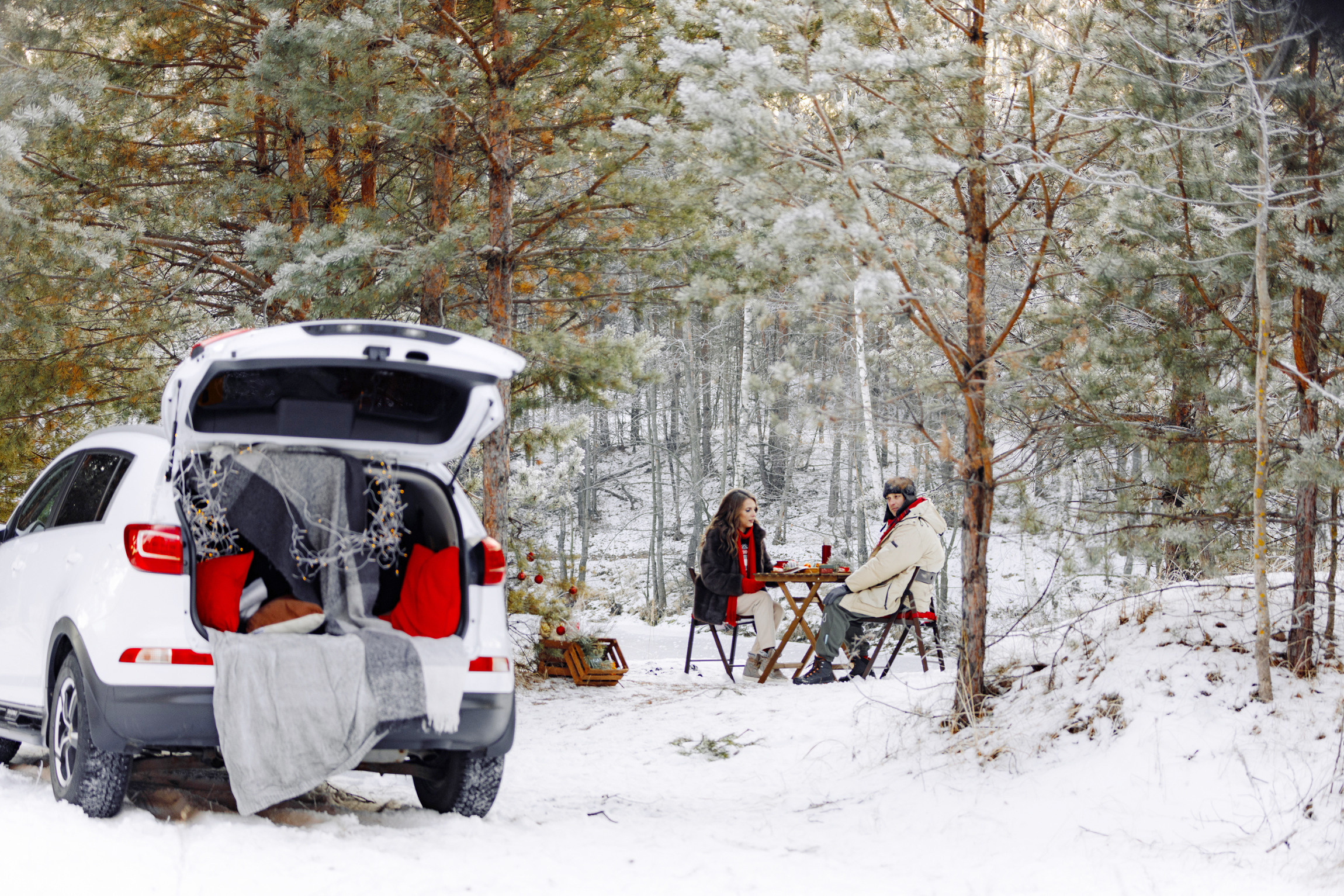 Зимняя сказка