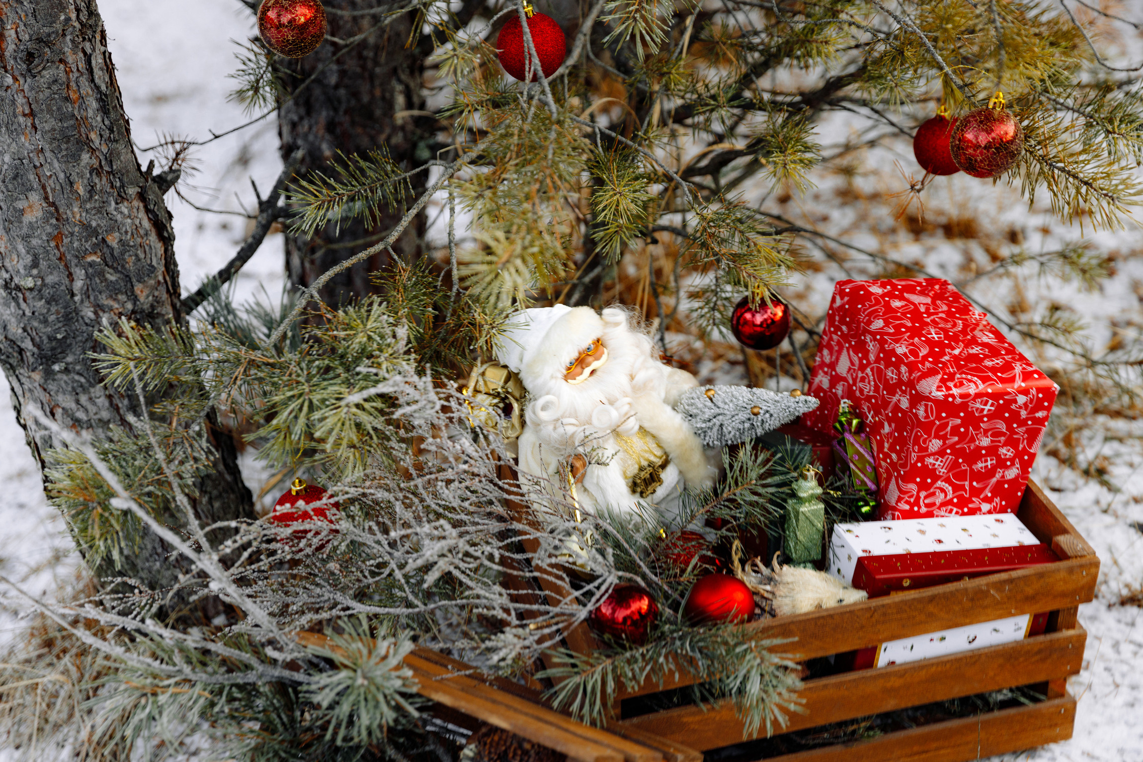 Зимняя сказка