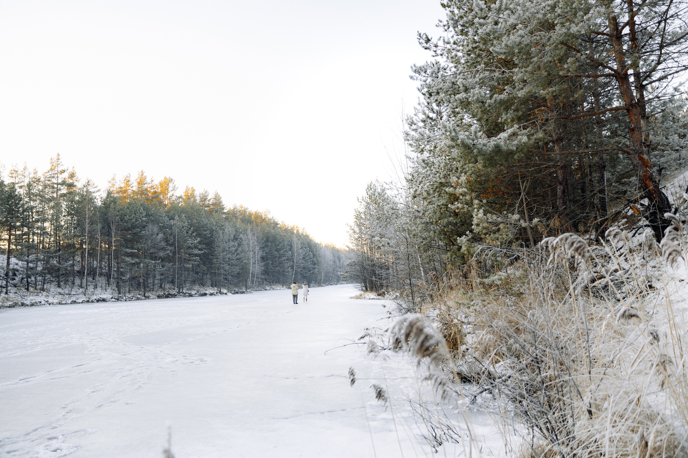 Зимняя сказка
