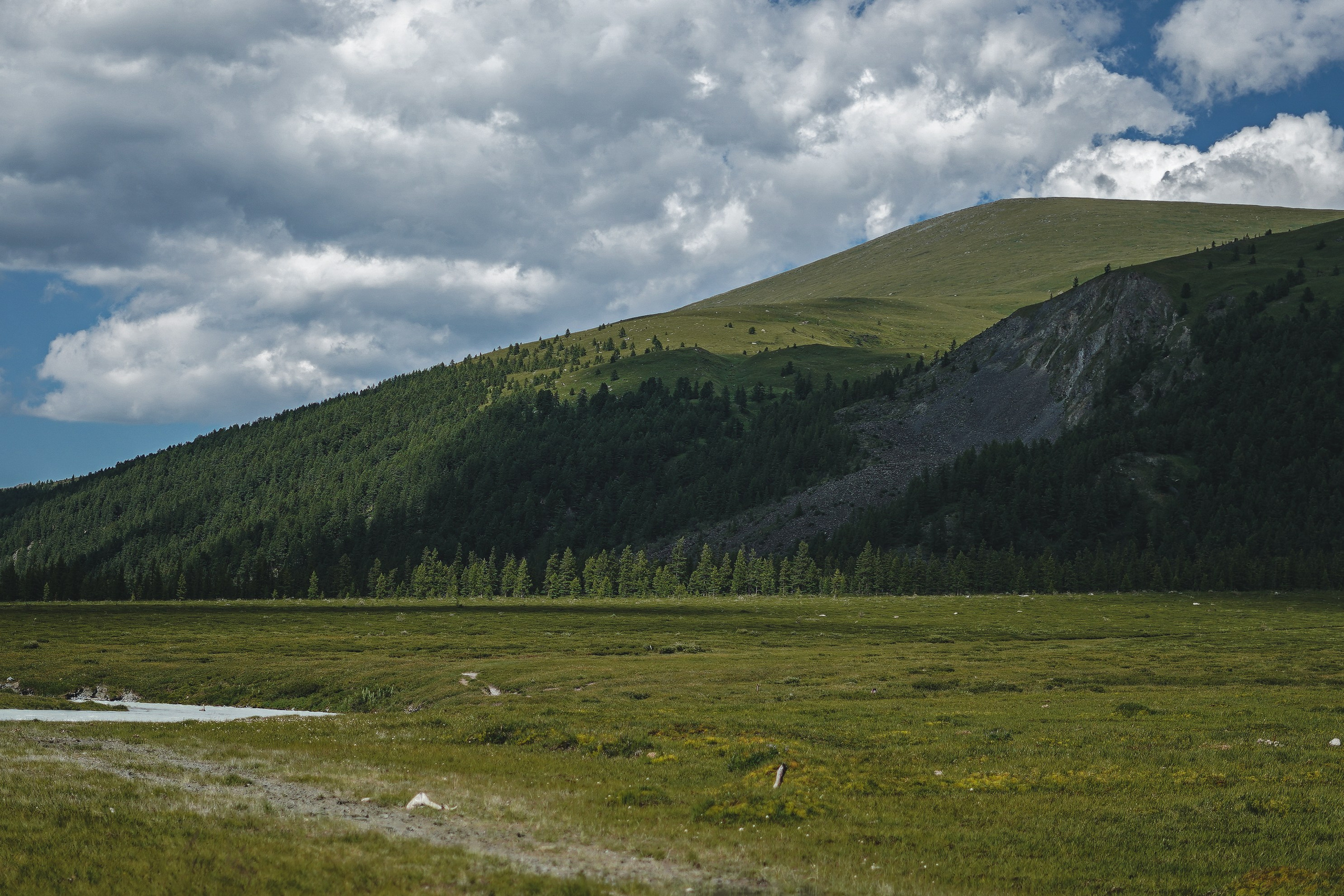 Алтай, поход к Белухе 2023. Фотограф Ольга Пучкова