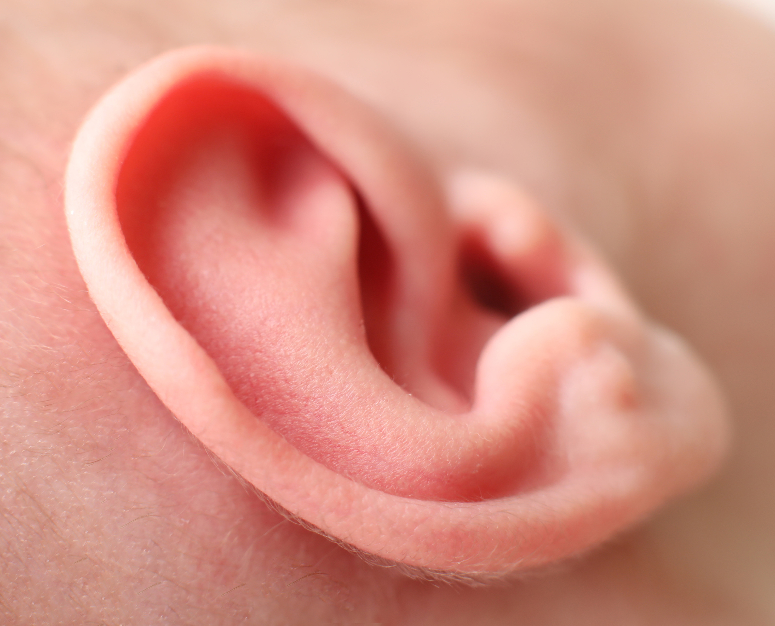 Newborn. Newborn photographer. Keski-Suomi (Central Finland)