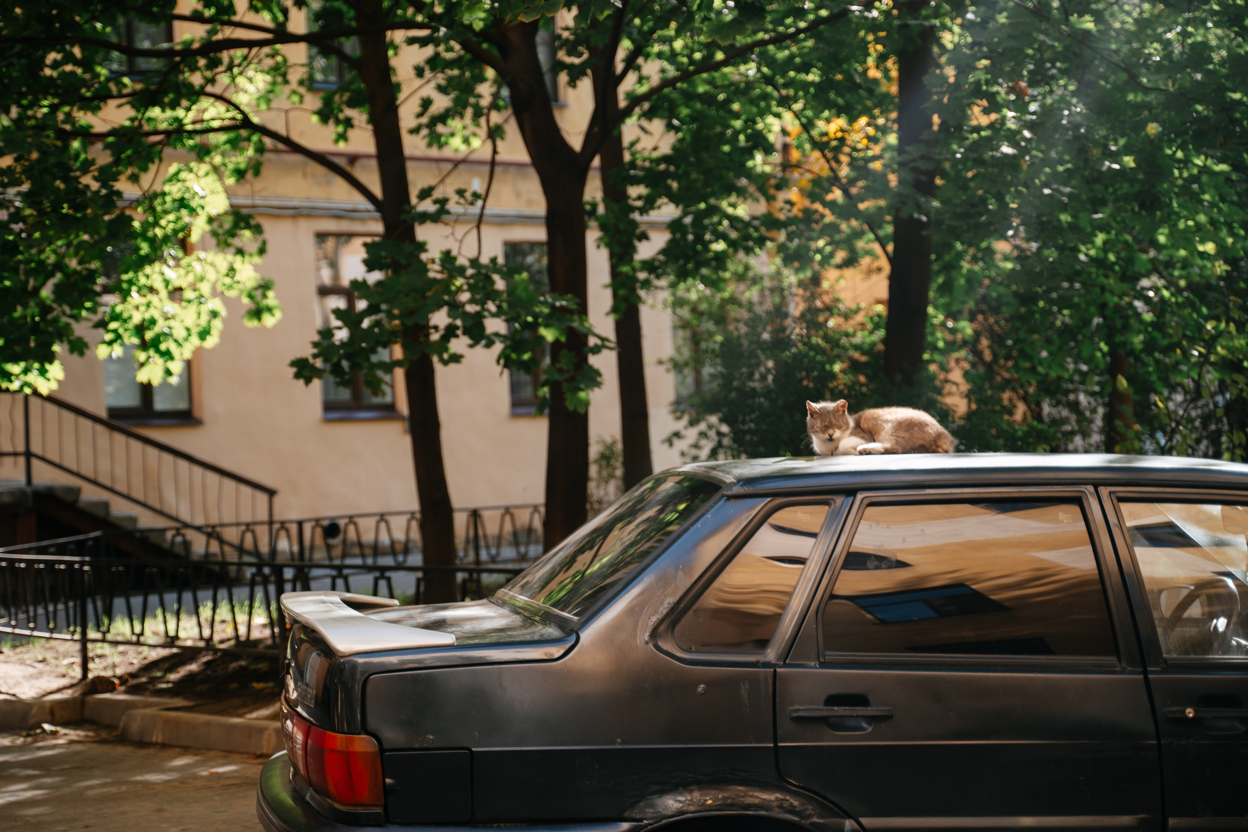 Павел и Екатерина. Семейный и свадебный фотограф в Санкт-Петербурге и Москве