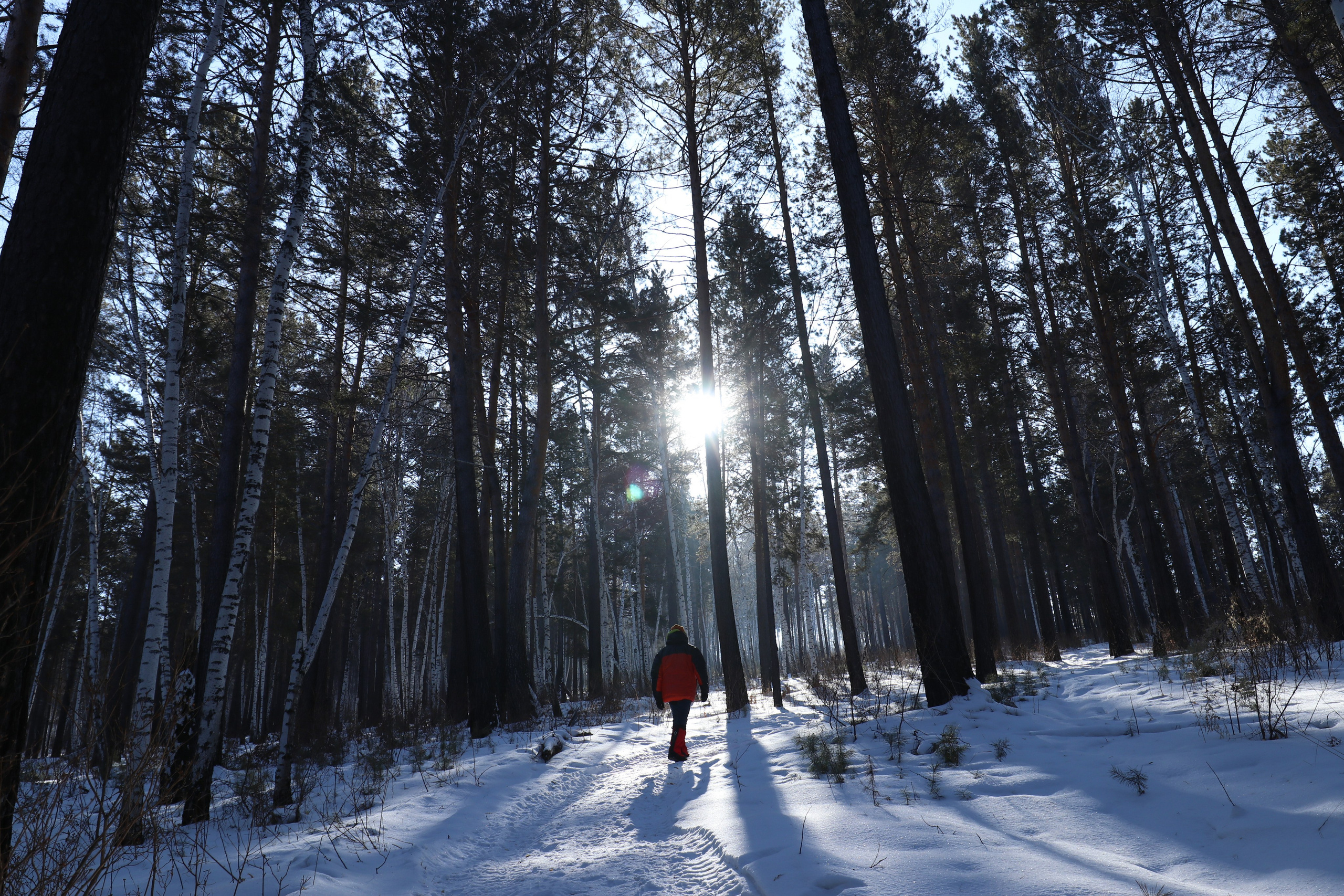 Аршан. Февраль 2025. Путешественник-фотограф из Санкт-Петербурга Татьяна Свистулина