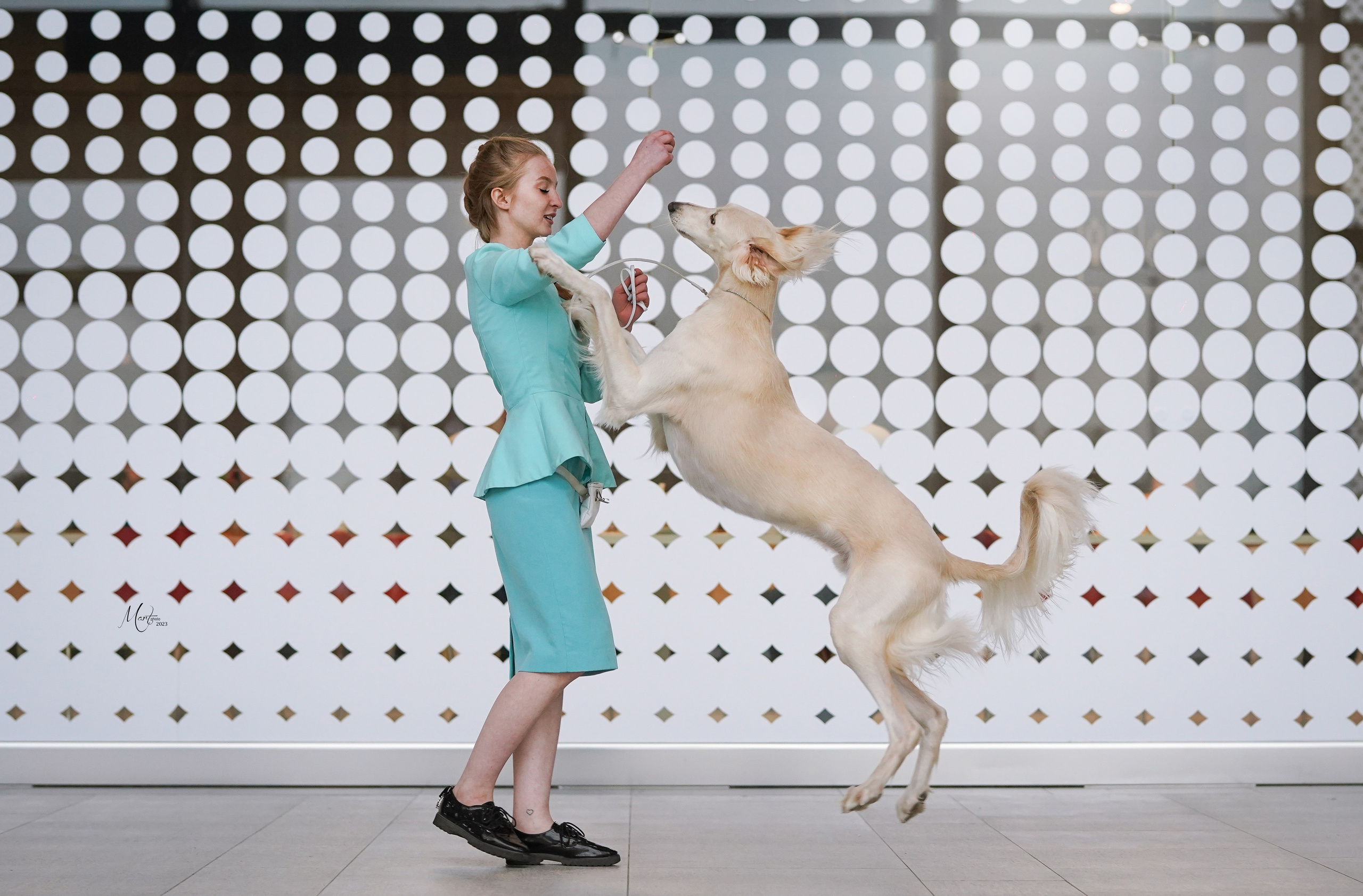 Выставки 2023. Фотограф-анималист в Санкт-Петербурге Яна Мартынова