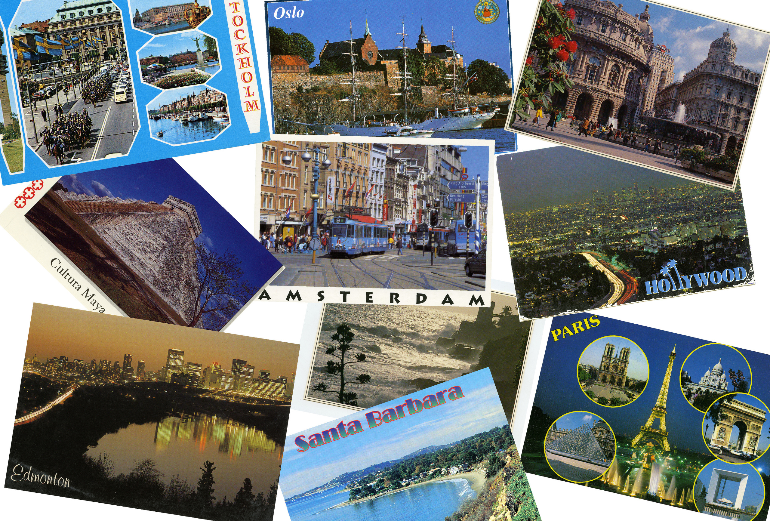 Jungle Love. Albina Galeeva modern photographer