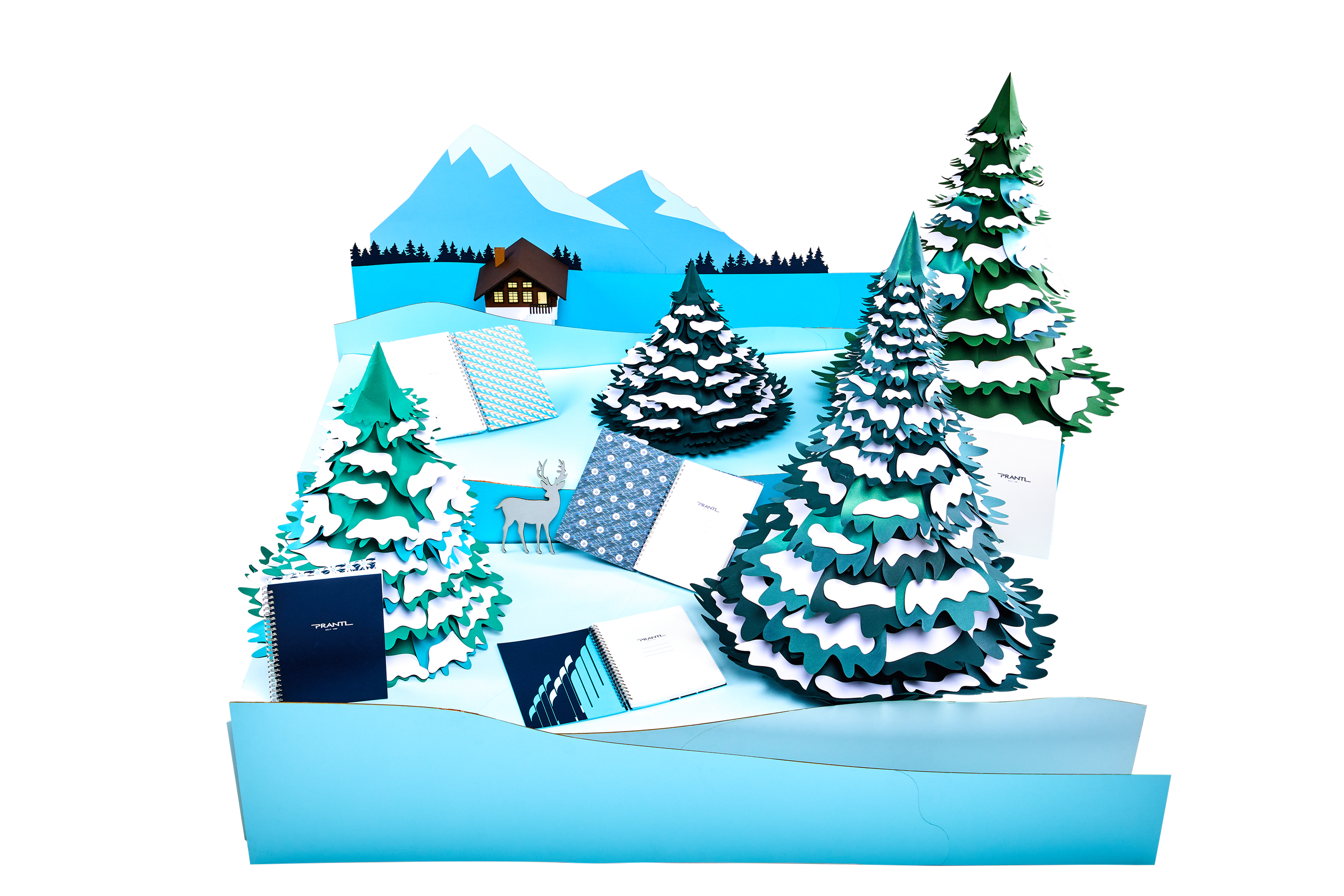 Предметы (ретушь, обтравка, замена цвета). Вильчук Зинаида фотограф, ретушер в Санкт-Петербурге