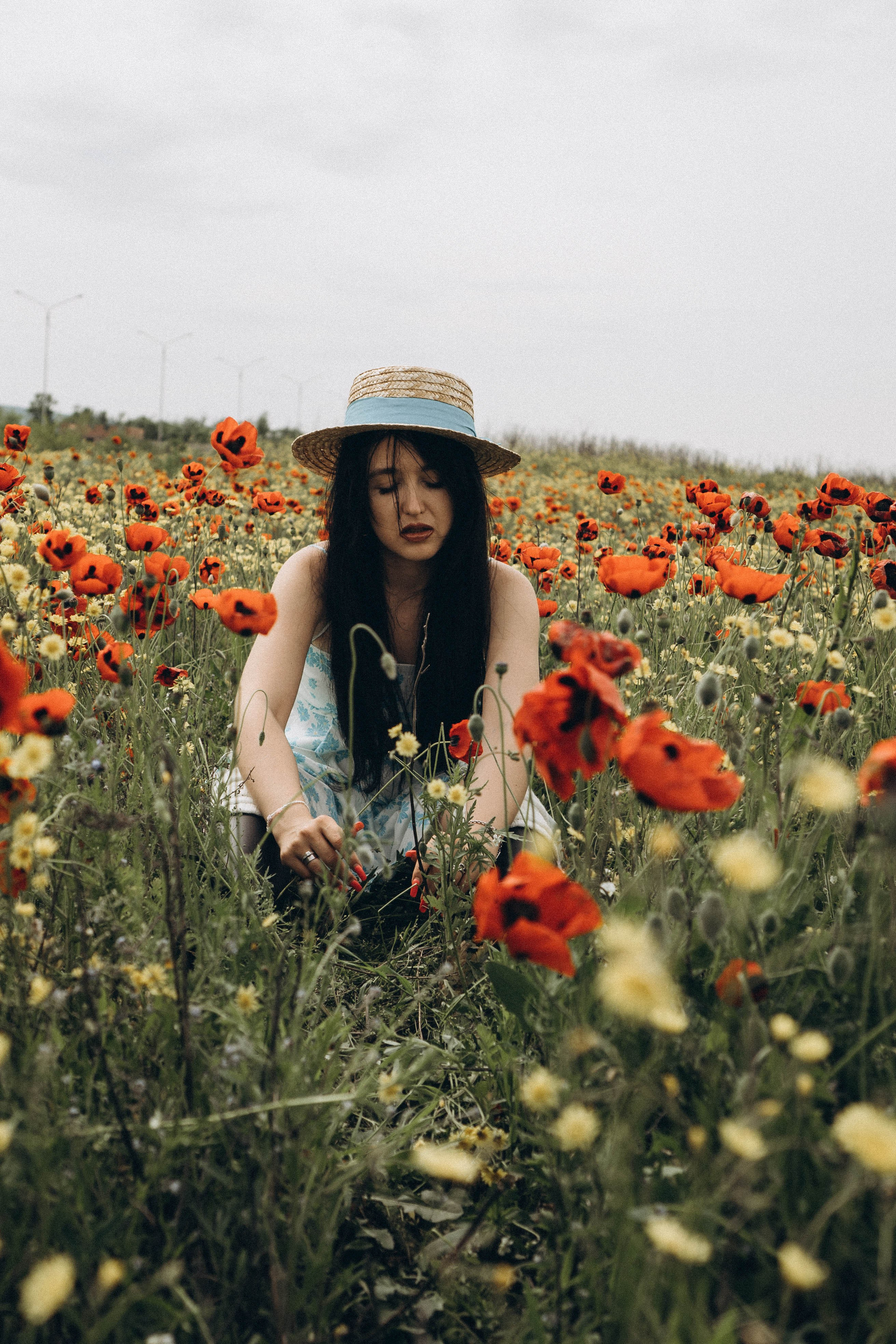 Цветочная поляна. Профессиональный фотограф, Санкт-Петербург — Виктория Богомолова
