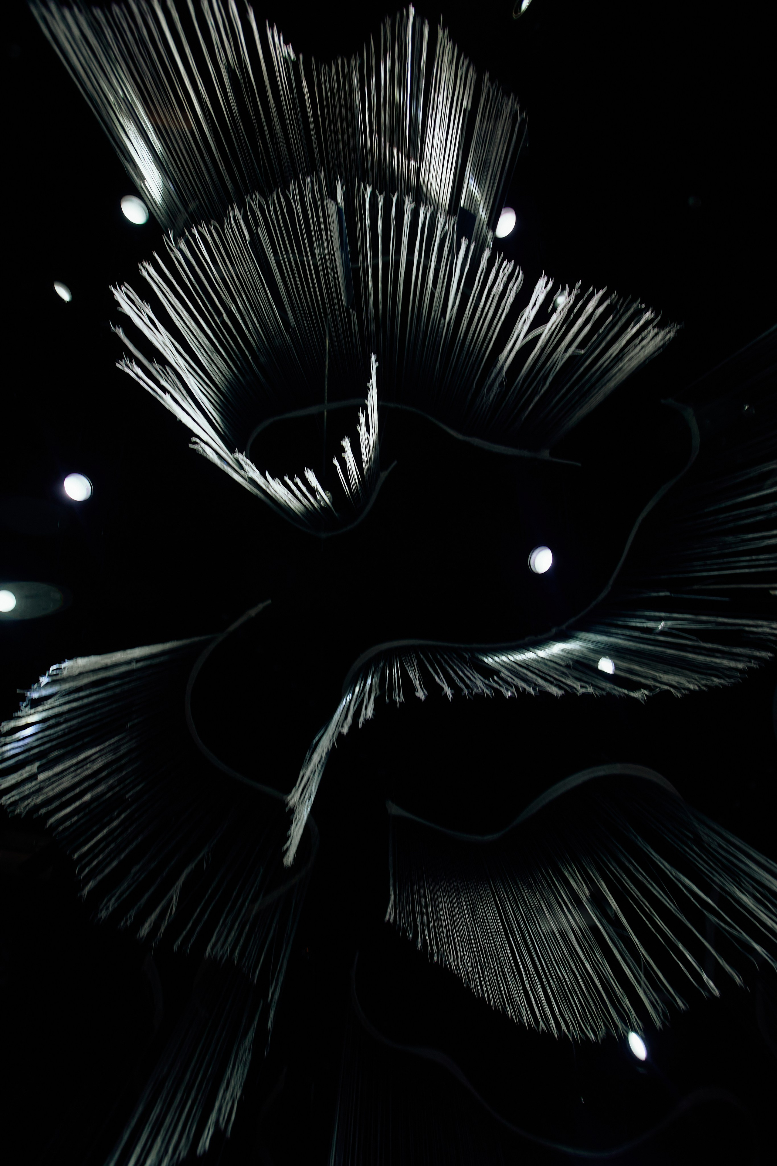 THE GOLDEN CRUMB. Дмитрий Мазуркевич: Профессиональный Репортажный Фотограф