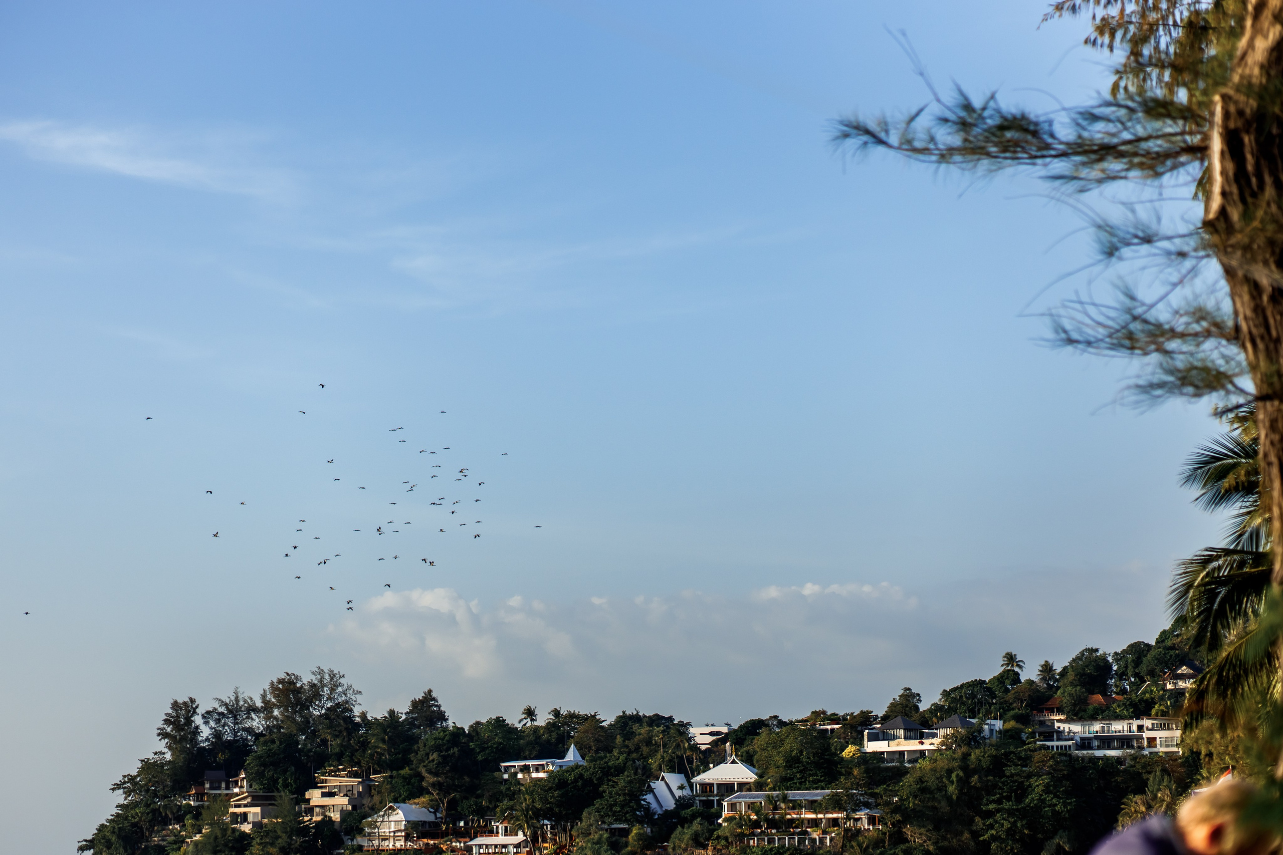 Свадьба в отеле Кататани остров Пхукет. Фотограф на Пхукете в Таиланде