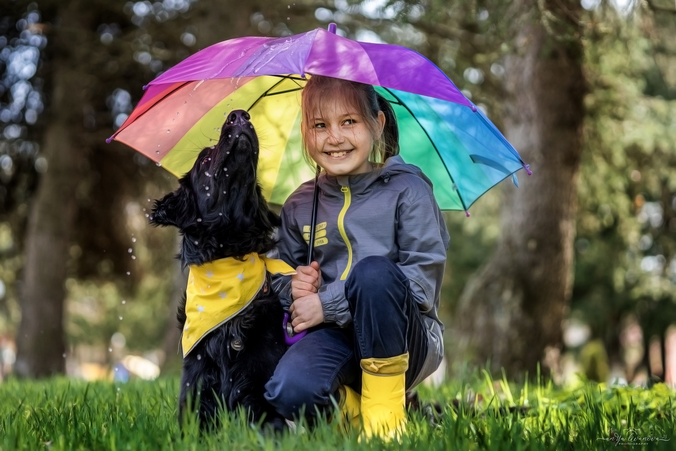 Солнышки. Фотограф анималист Аня Ливанова | Рыбинск