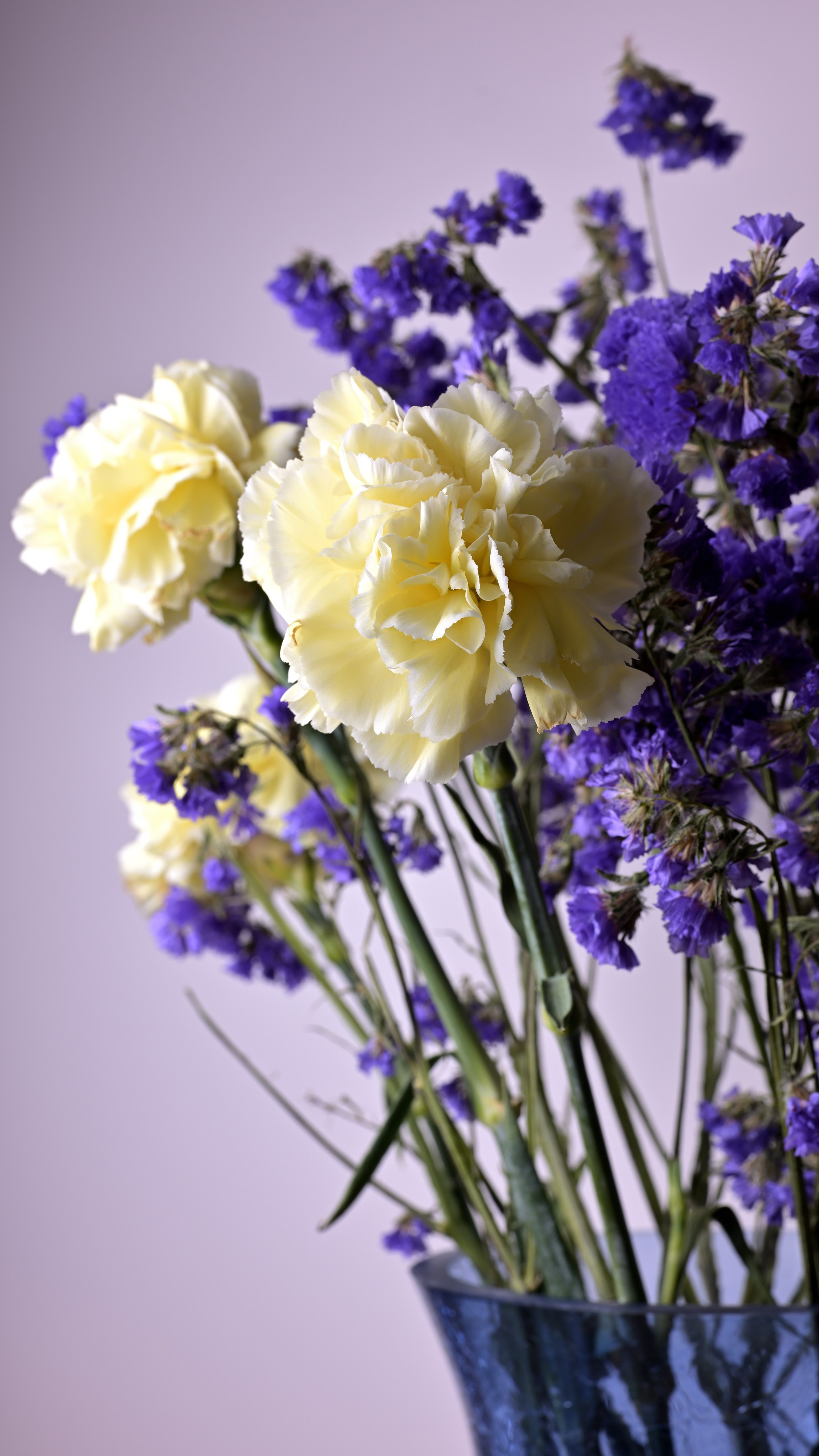 Натюрморты. Сергей Люльченко фотоальбом