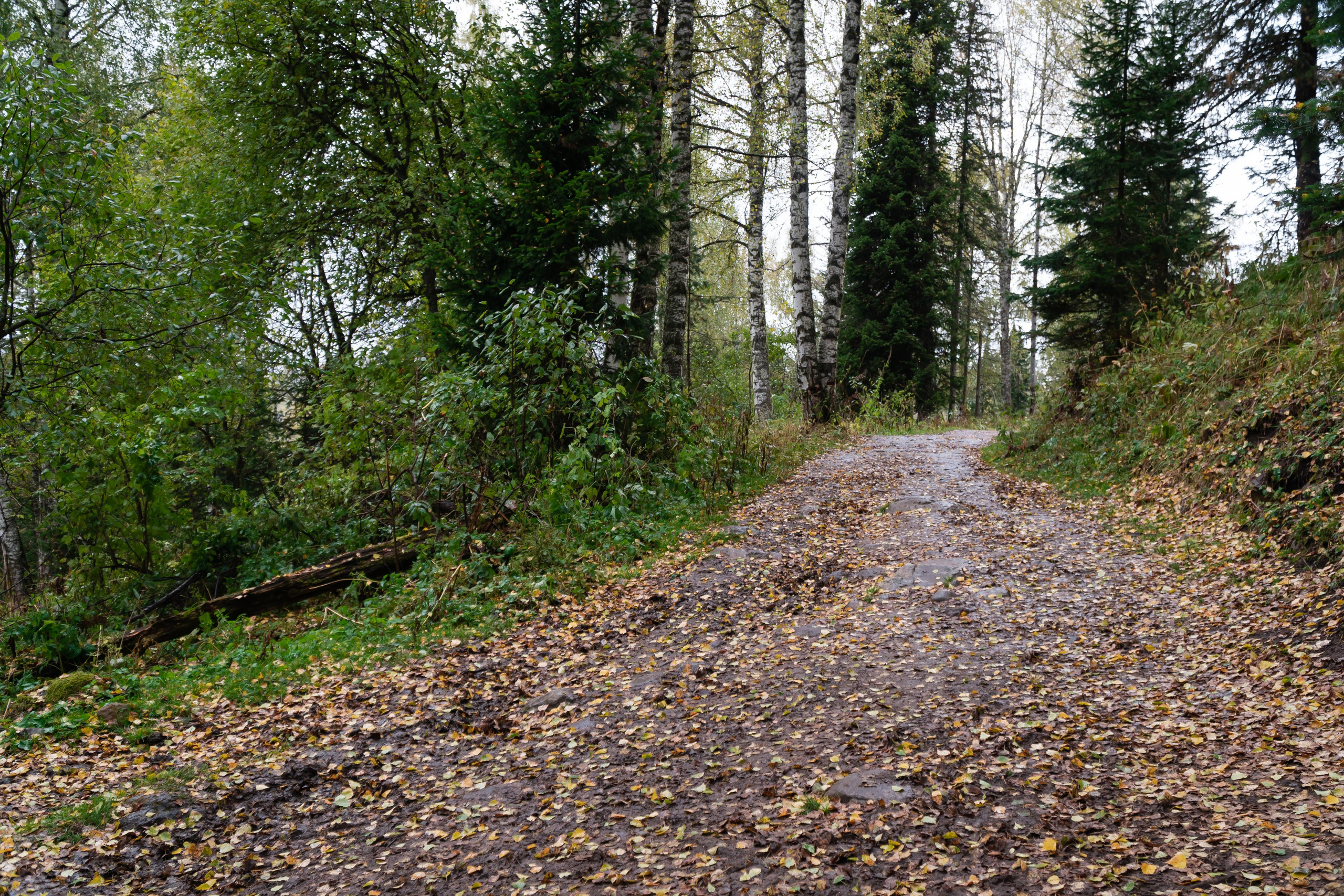 September 2021. Photographer Max