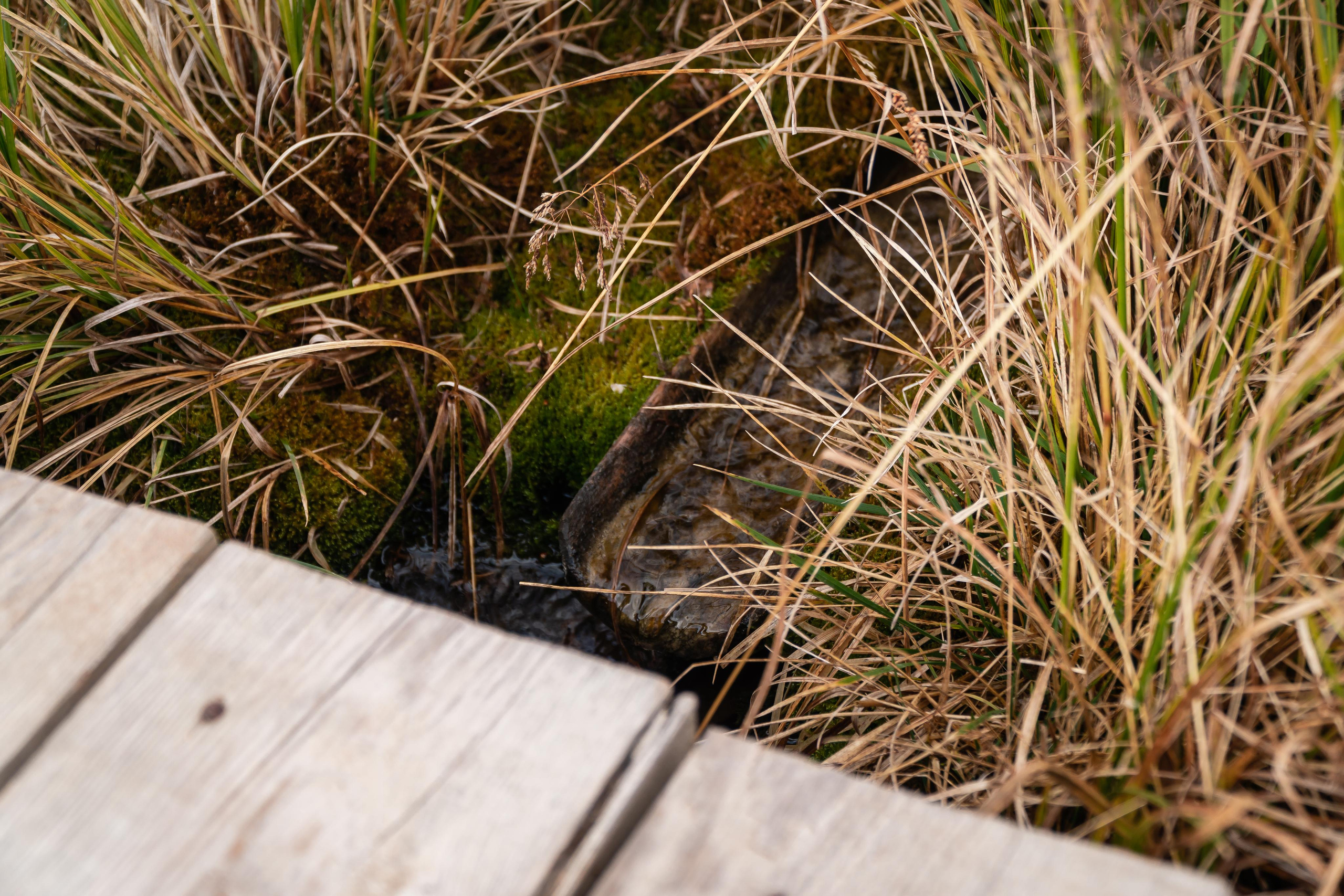 September 2021. Photographer Max