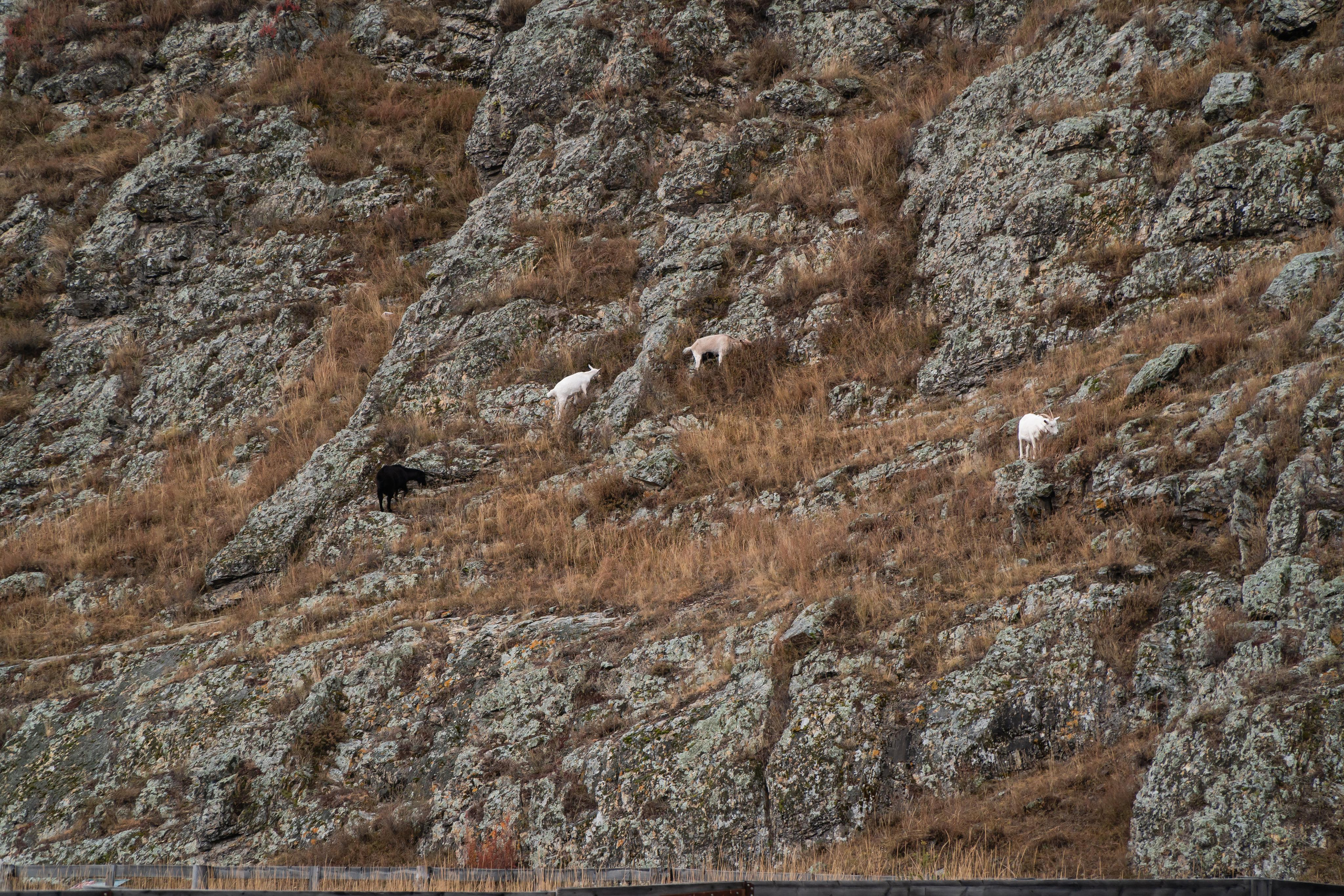 September 2021. Photographer Max