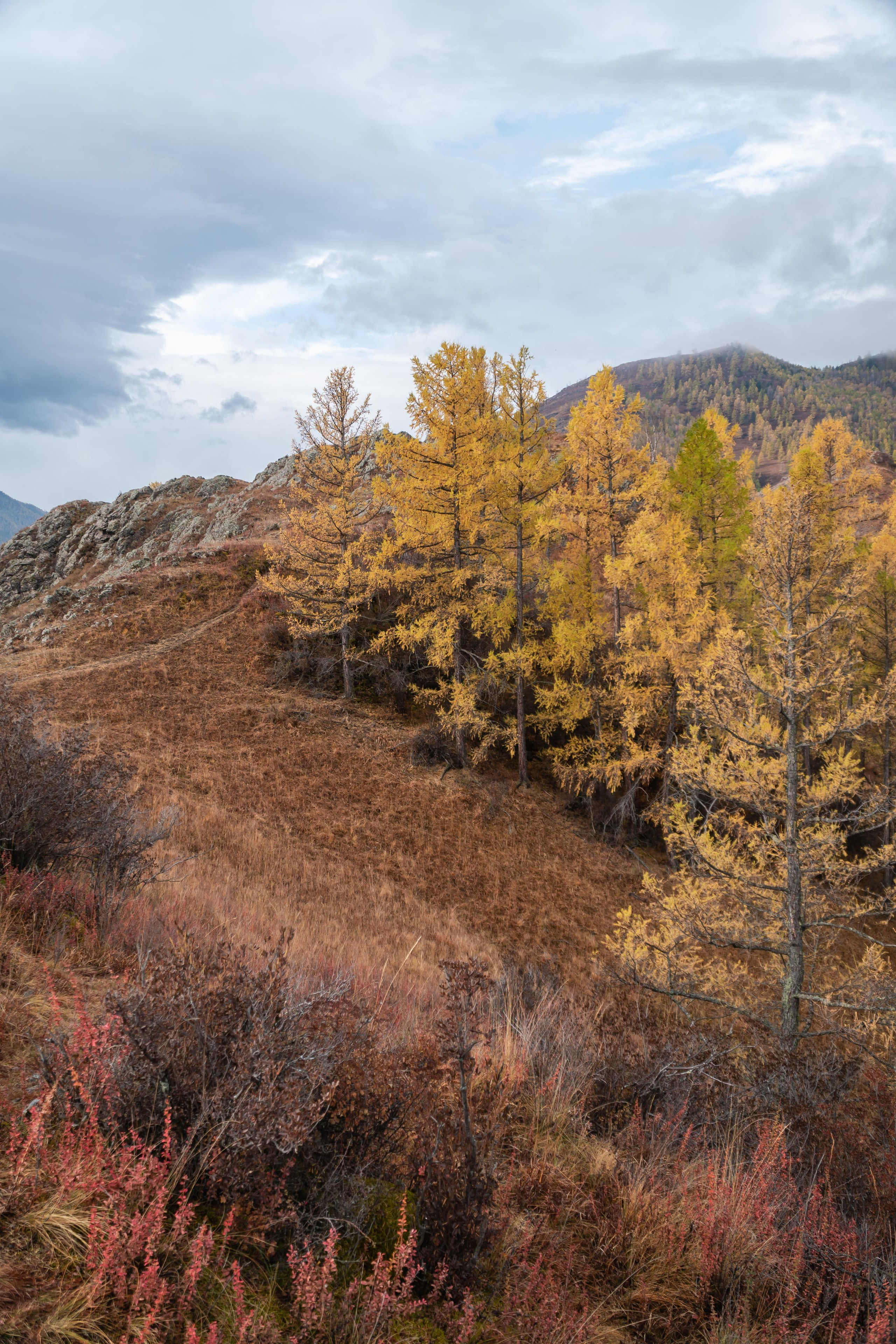 September 2021. Photographer Max