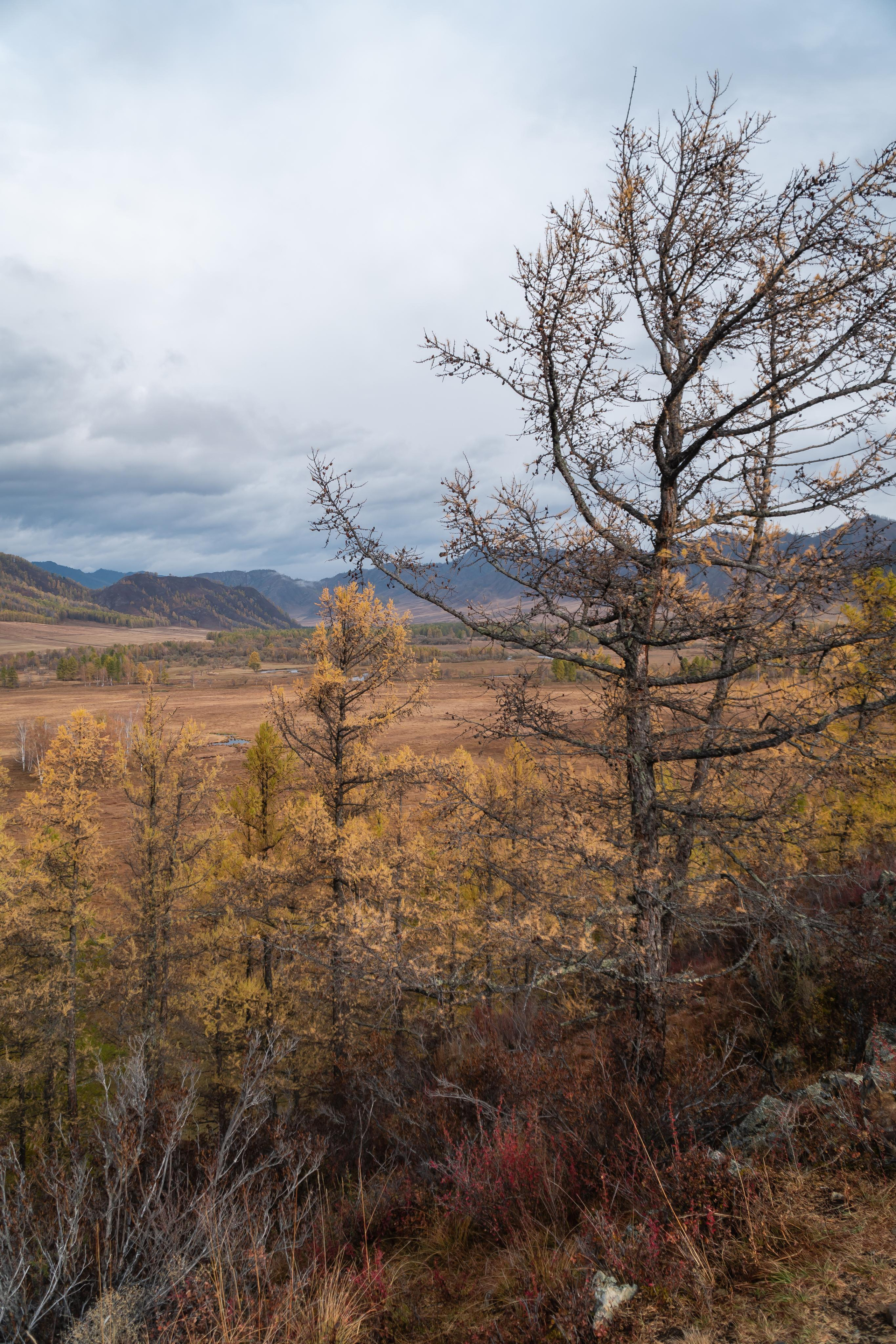 September 2021. Photographer Max