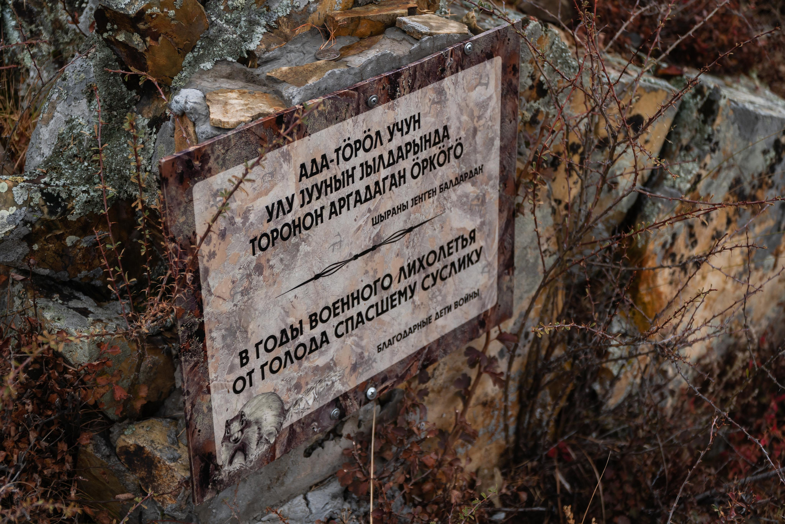 September 2021. Photographer Max