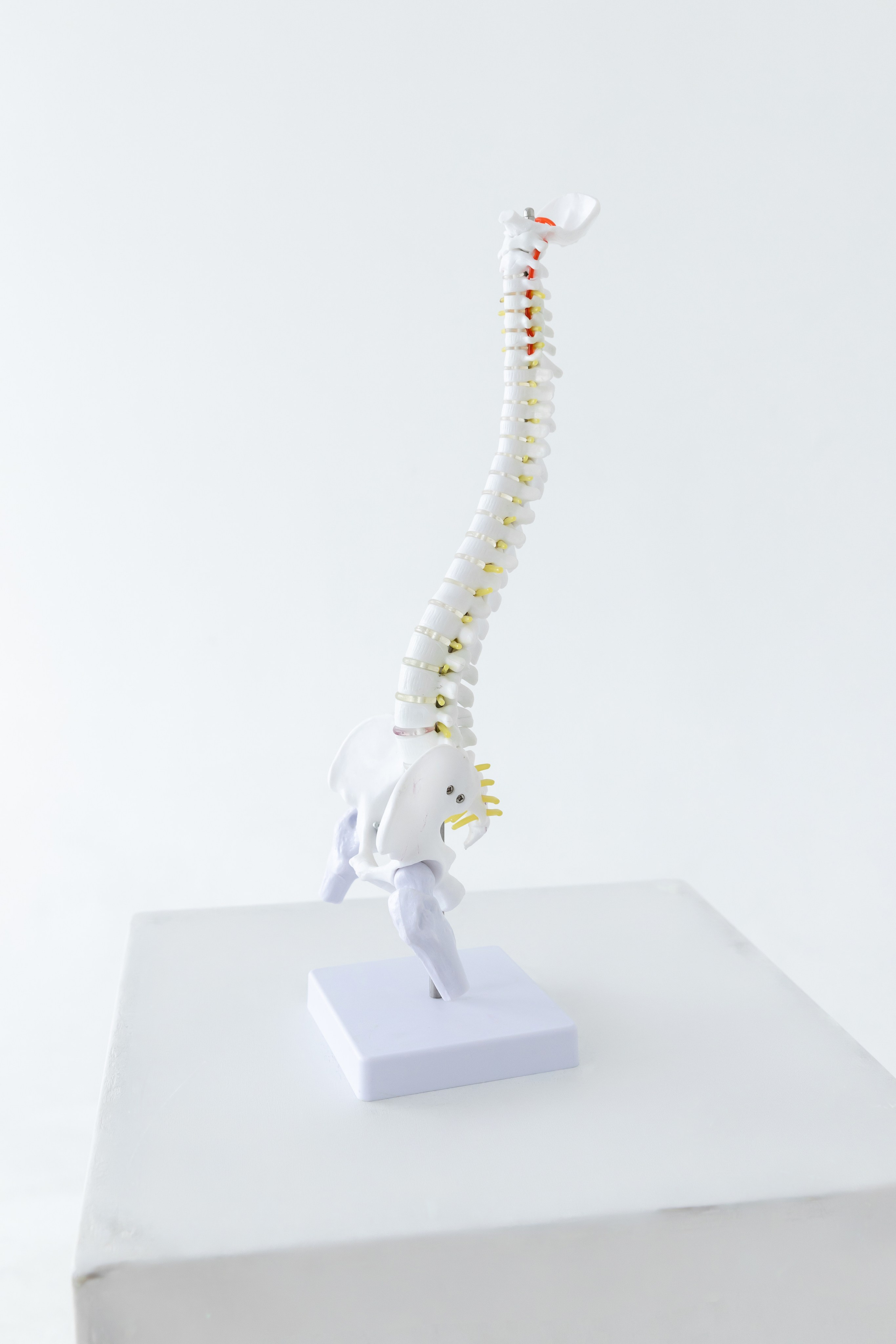 Врач. Свадебный фотограф в Томске Юлия Солнечная | Живые эмоции