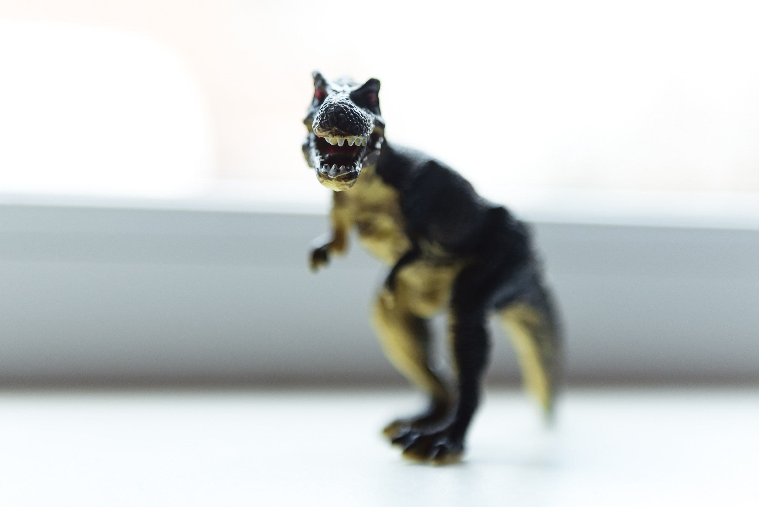 Оля, бигли и семья. Семейный Фотограф в Москве Ирина Хохлова