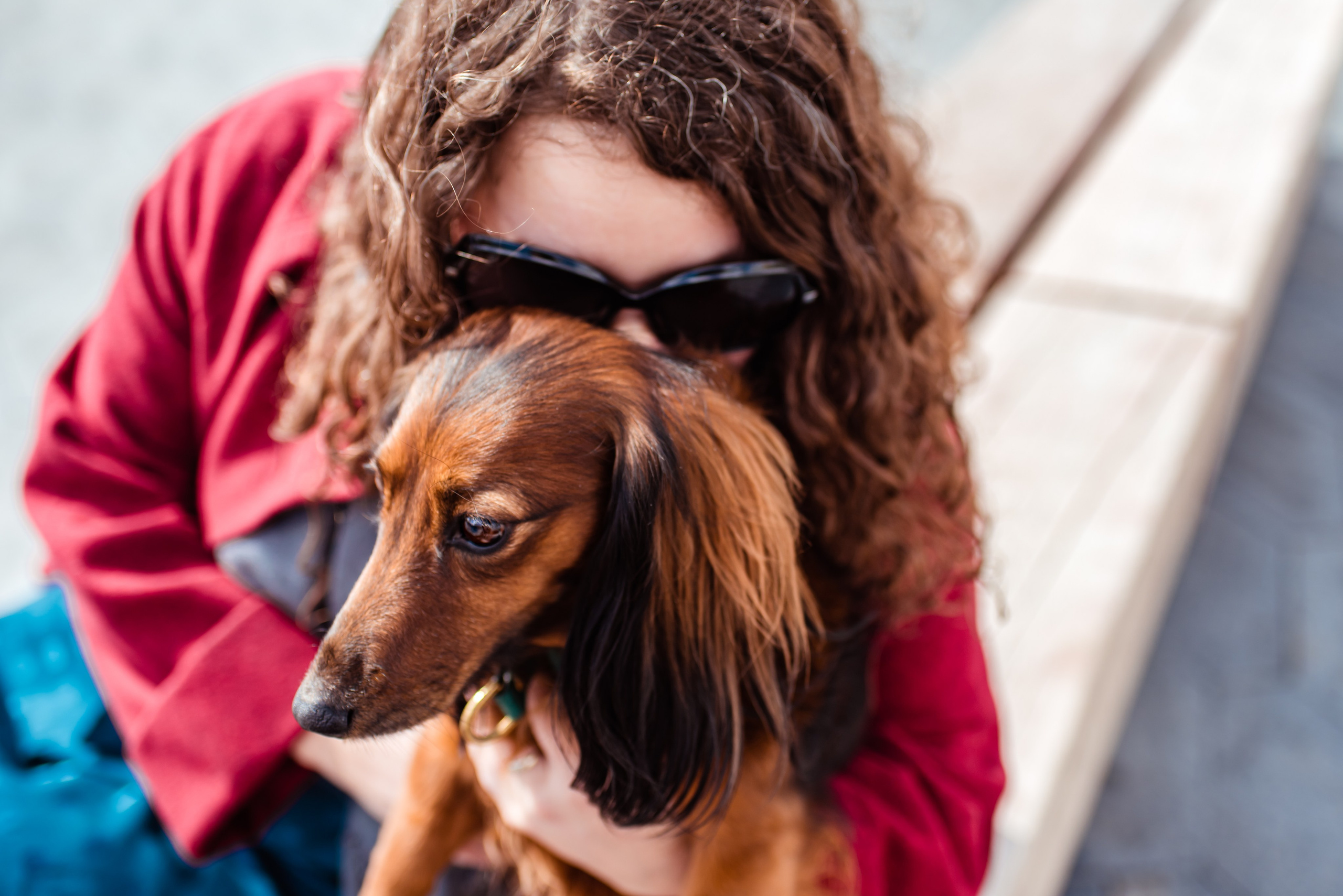 Таксы на Красной площади. Семейный Фотограф в Москве Ирина Хохлова