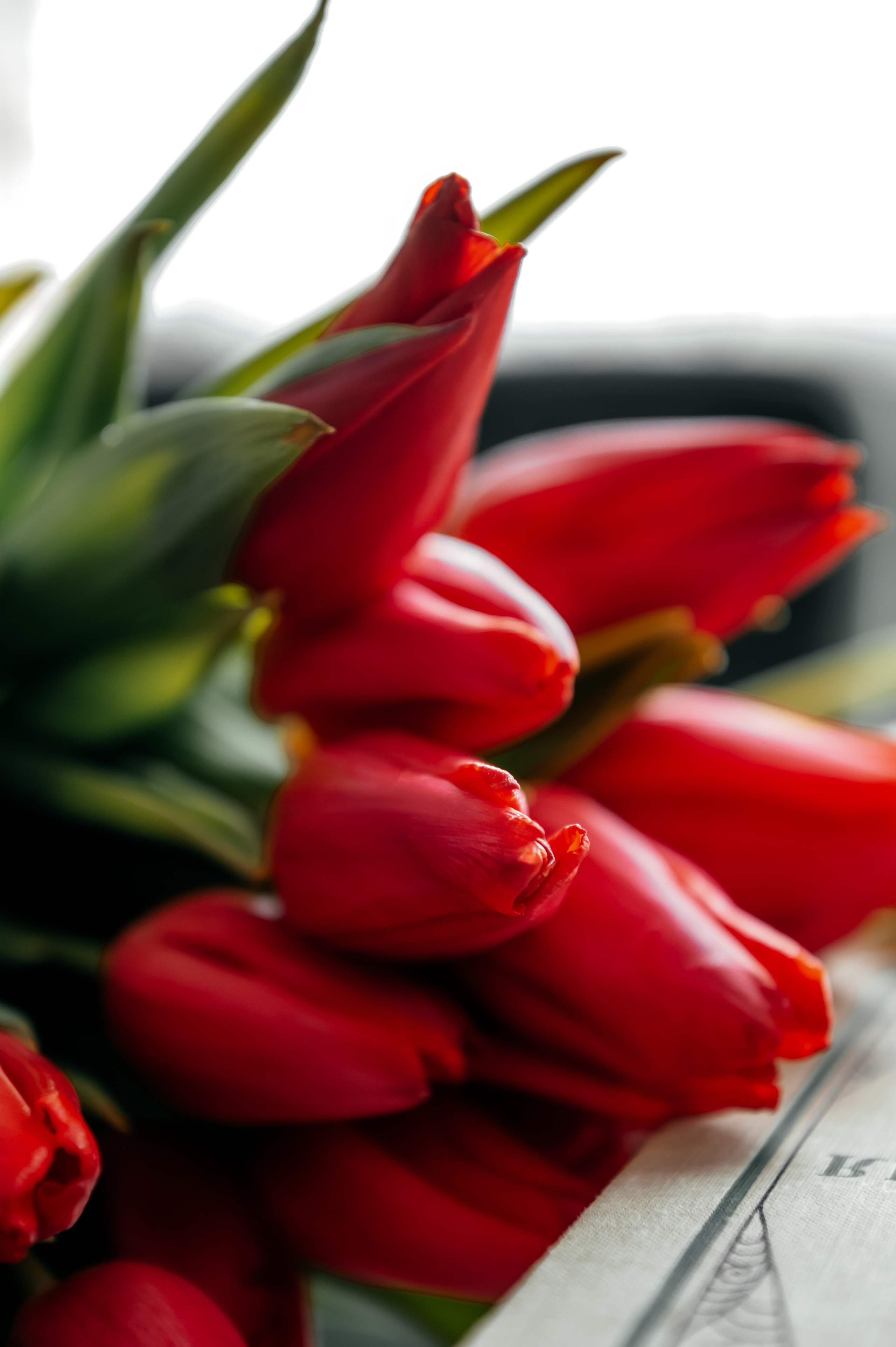 Ирина, Королёв, фотостудия Лофт 18. Свадебный и семейный фотограф Виктория Носачёва. Щелково, Москва и МО