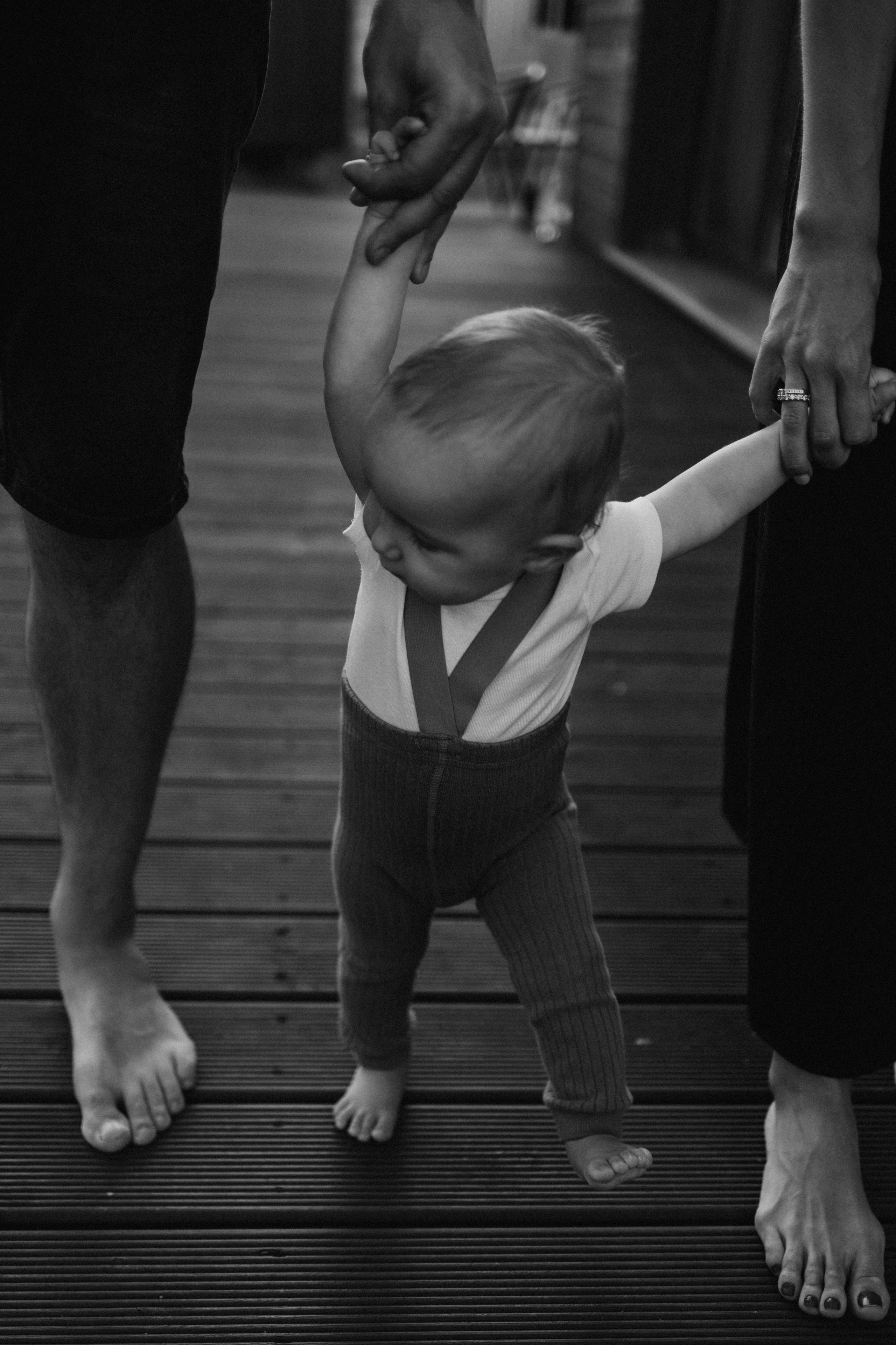 Семейная. Фотораф — анималист Мария Шистка