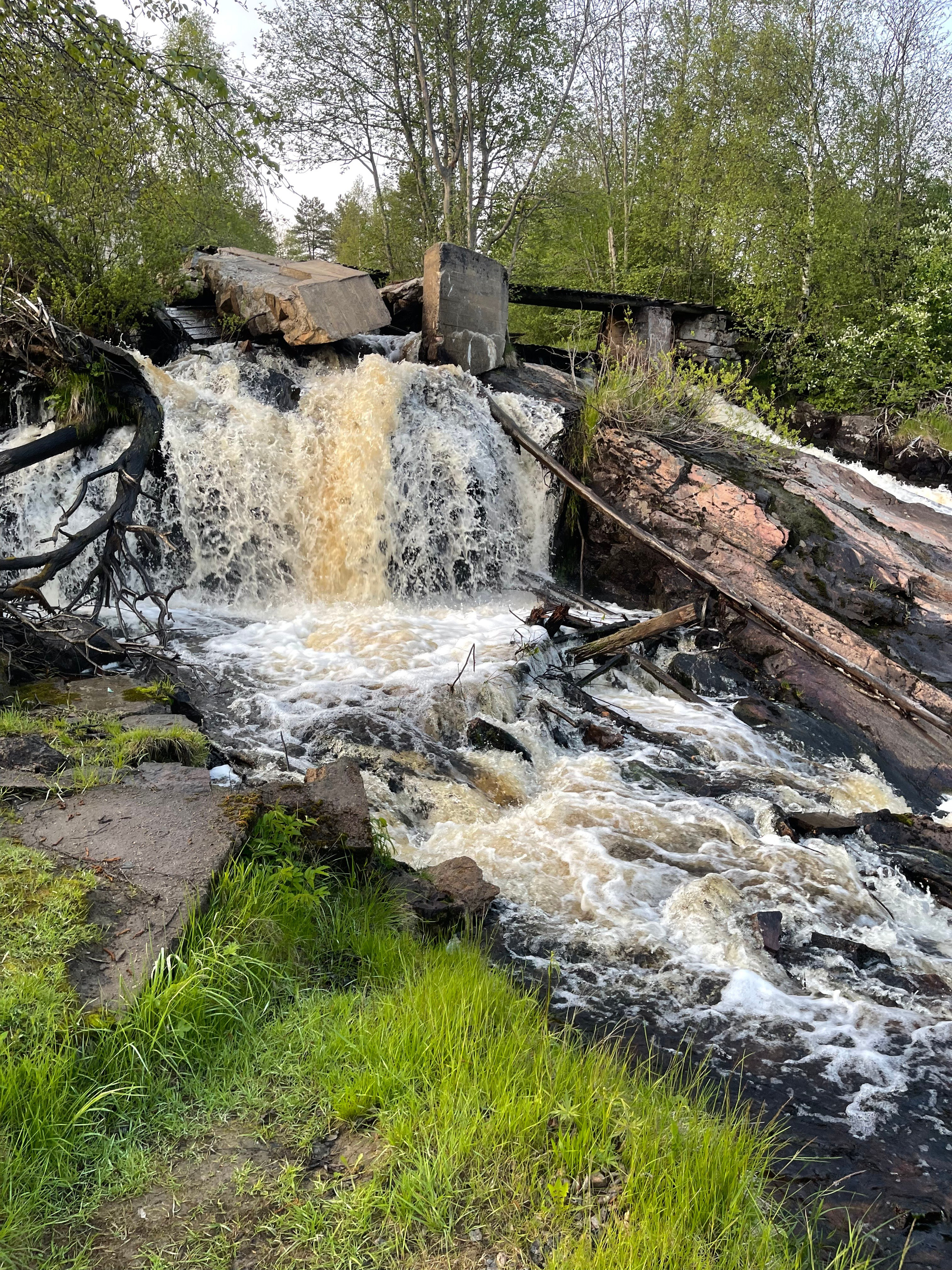 Ладога. Главная