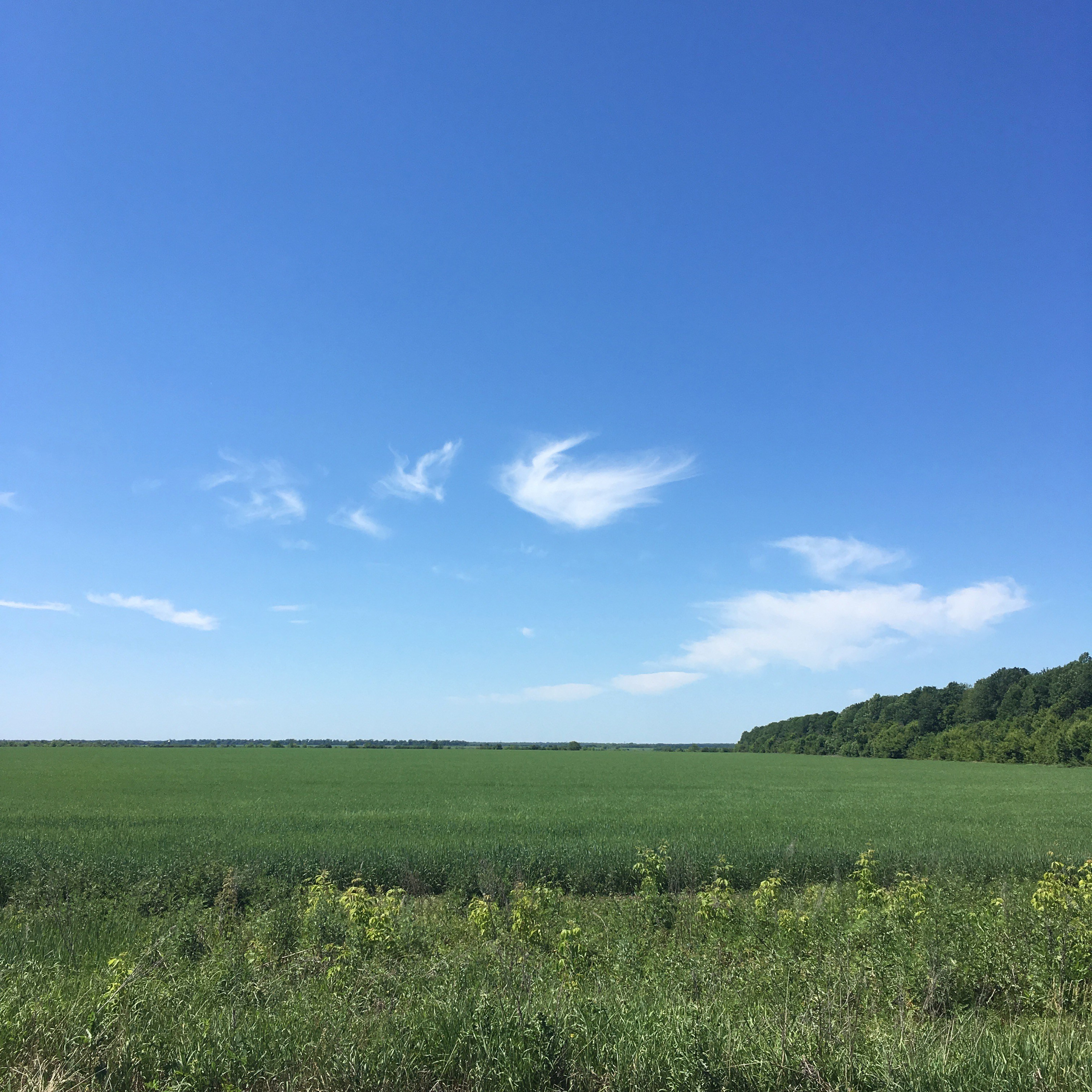 Азов -19. Своя Мастерская