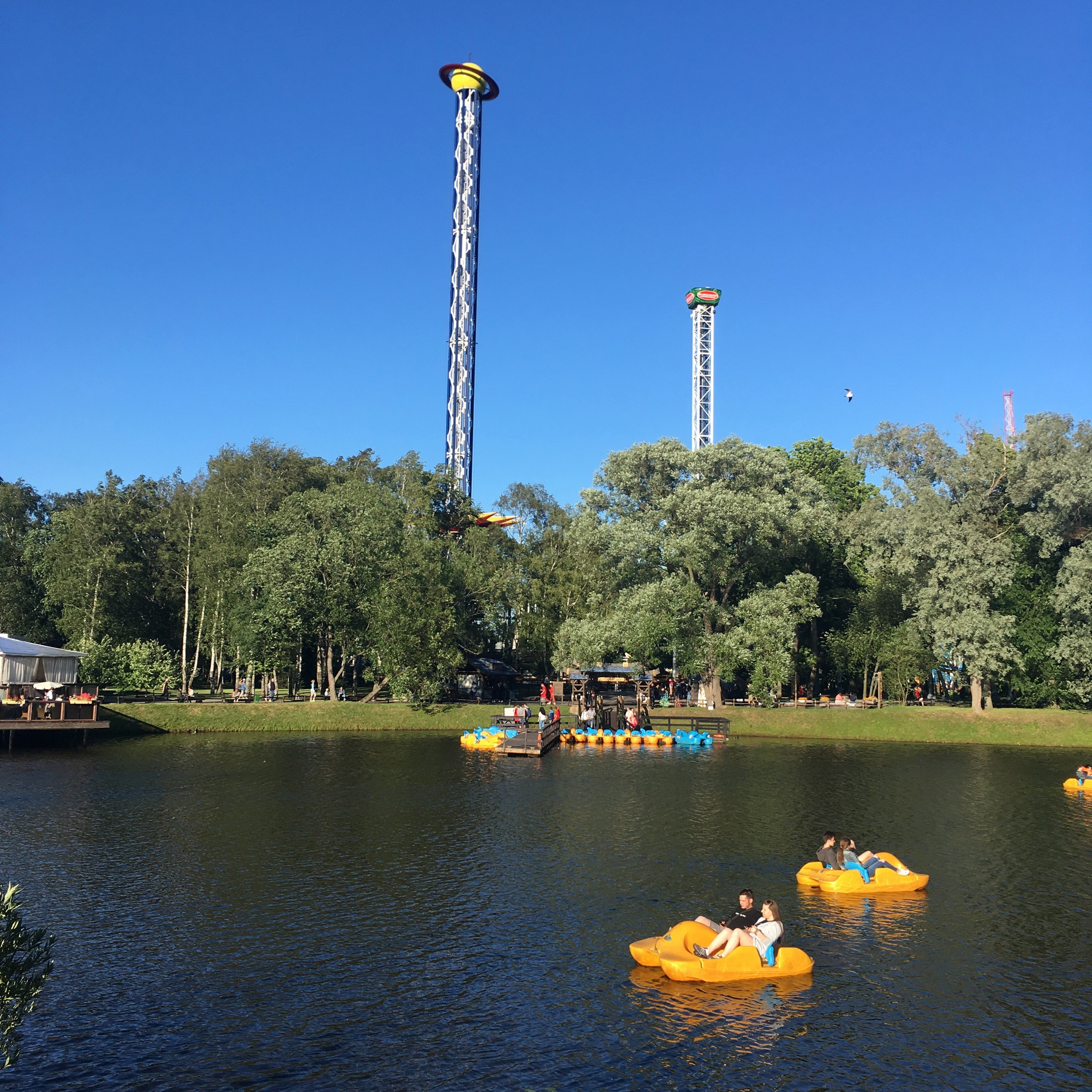 Дивоостров -19. Своя Мастерская