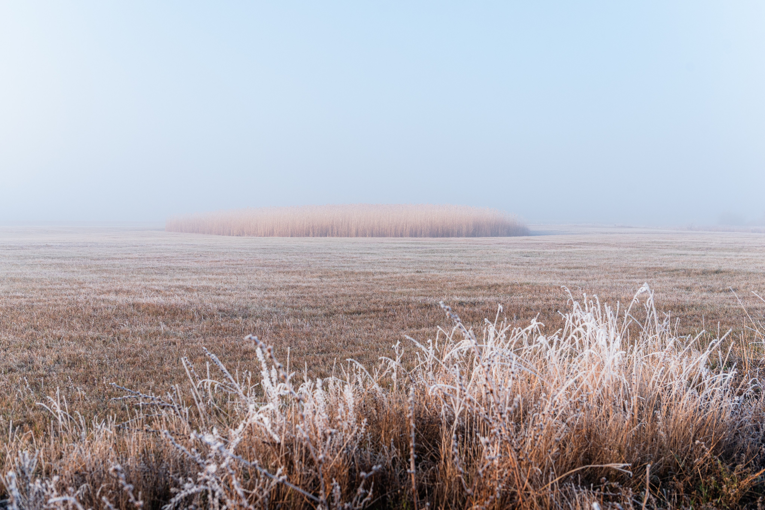 Фотографии утреннего тумана под Волжским. Фотограф в Волгограде и Волжском Александр Горбань