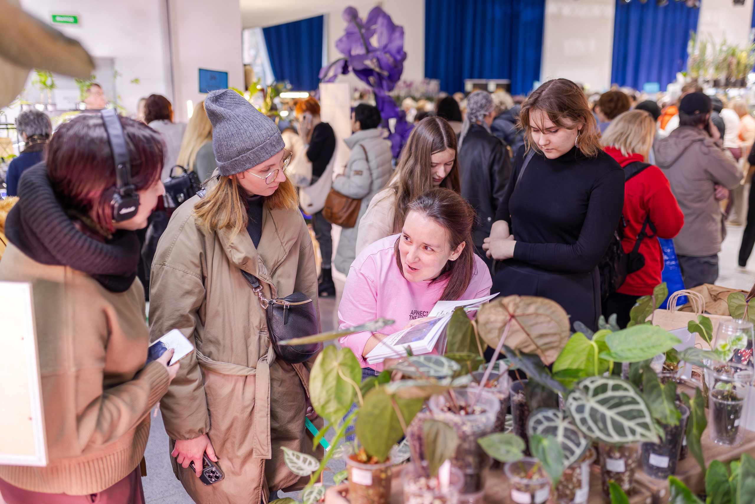 Орхидиум 12.2025. Александра Куликова фотограф, Москва