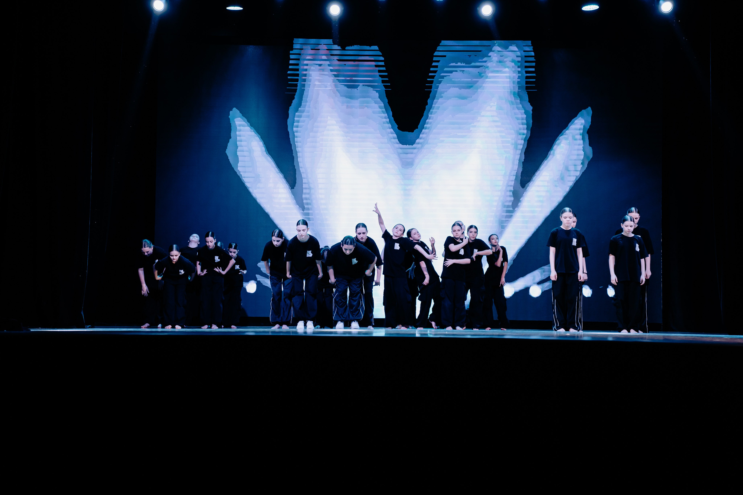 Концертная форма. Фото