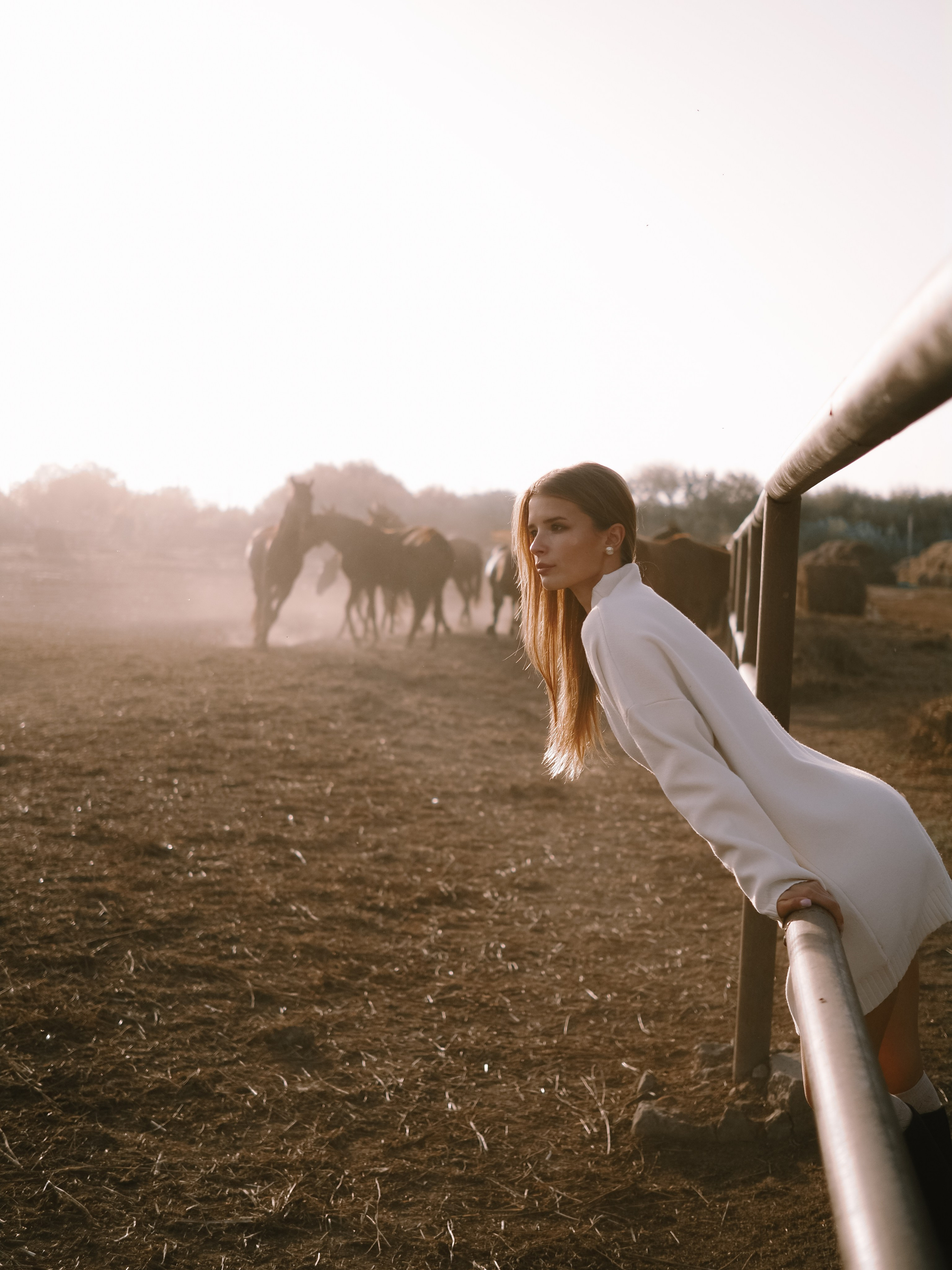 Фотопроект с лошадьми. Фотограф Рязань. Семейный Свадебный фотограф