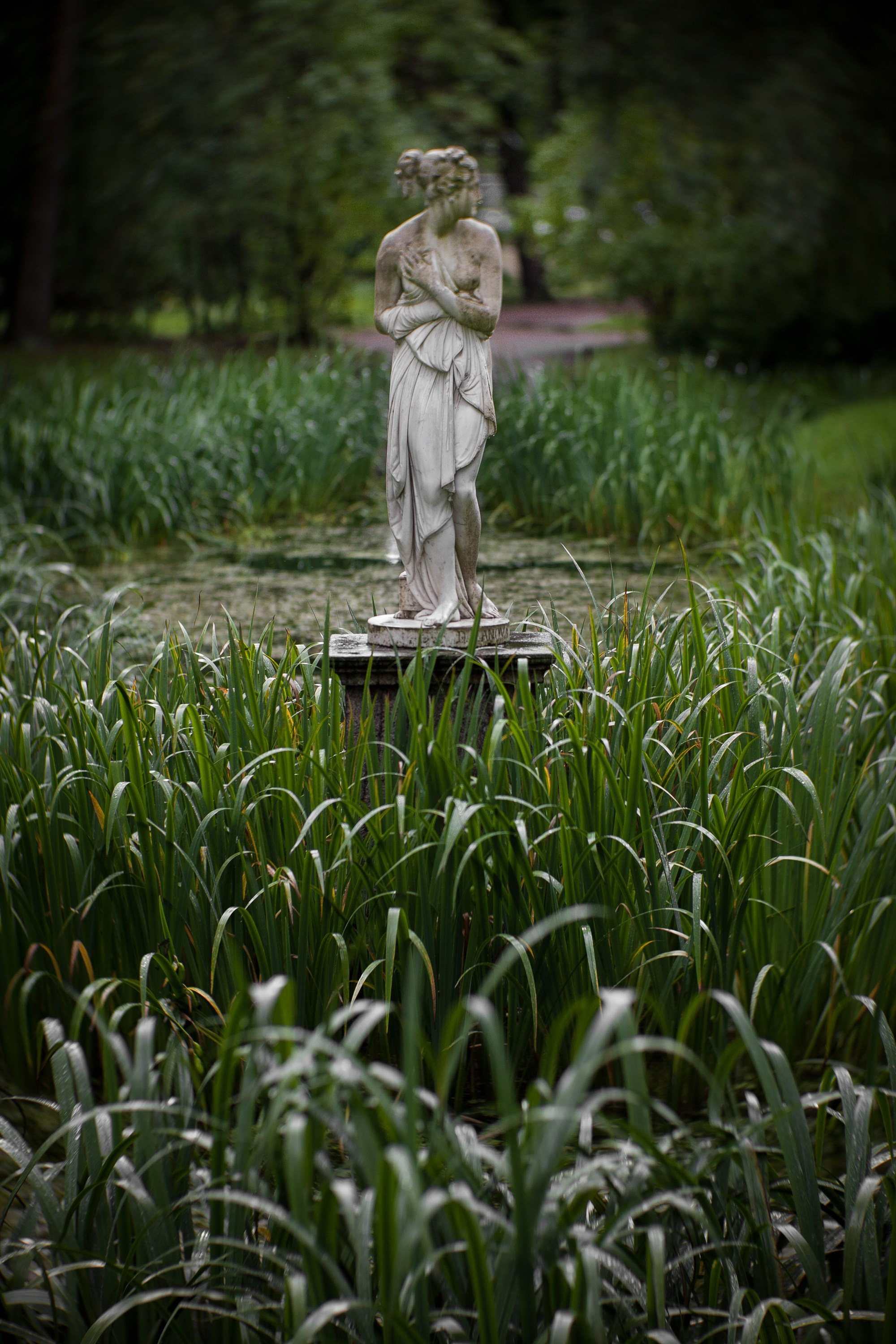 Ландшафтная фотография. Туманов Виталий — фотограф Москва