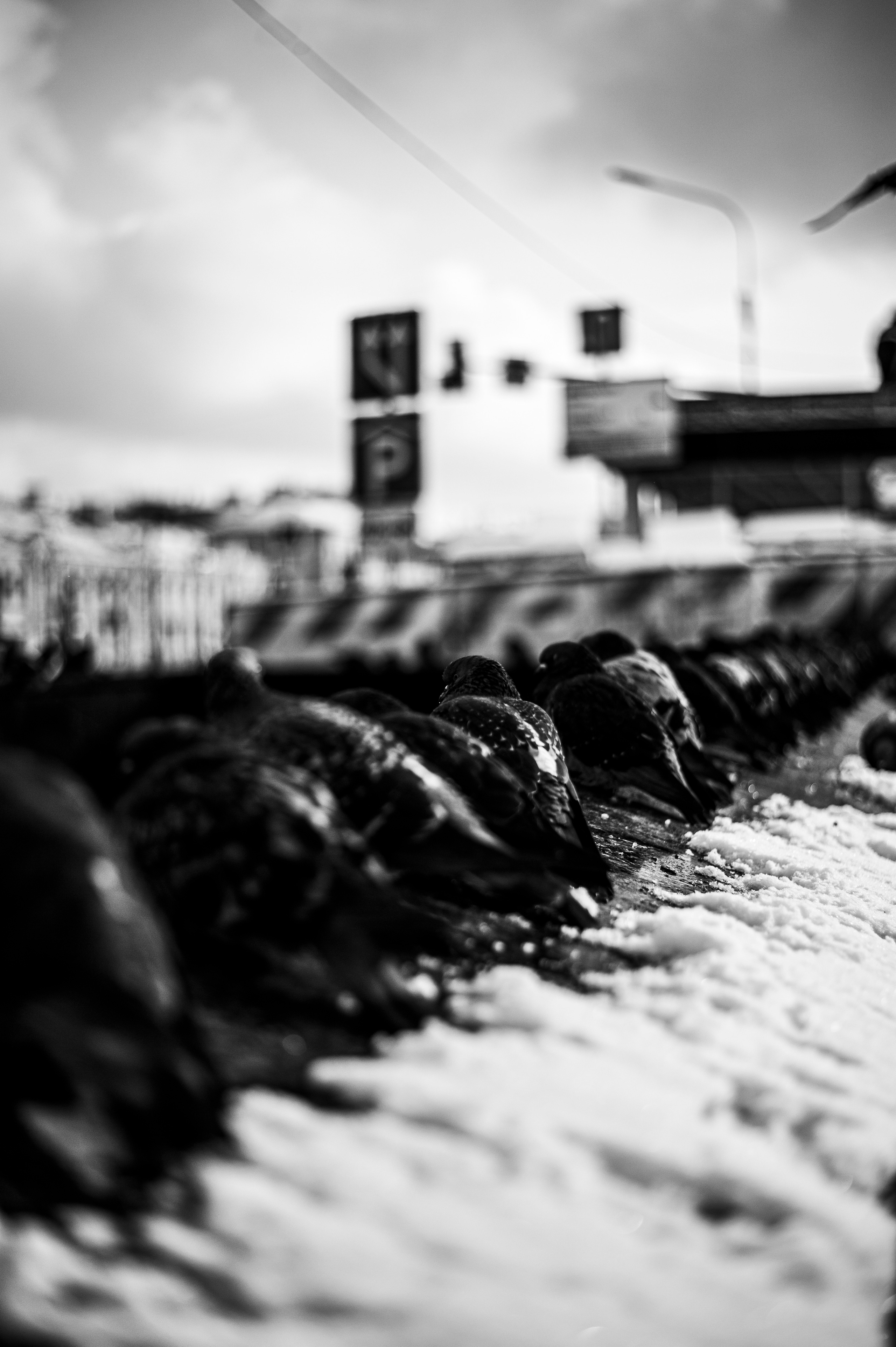 Москва. Портретный фотограф в Москве — Иван Саяпин